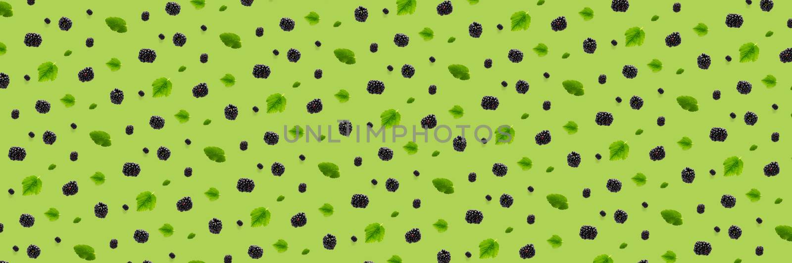 Background from isolated brambles. Group of tasty ripe blackberry isolated on green background. modern backround of falling blackberry or bramble. by PhotoTime