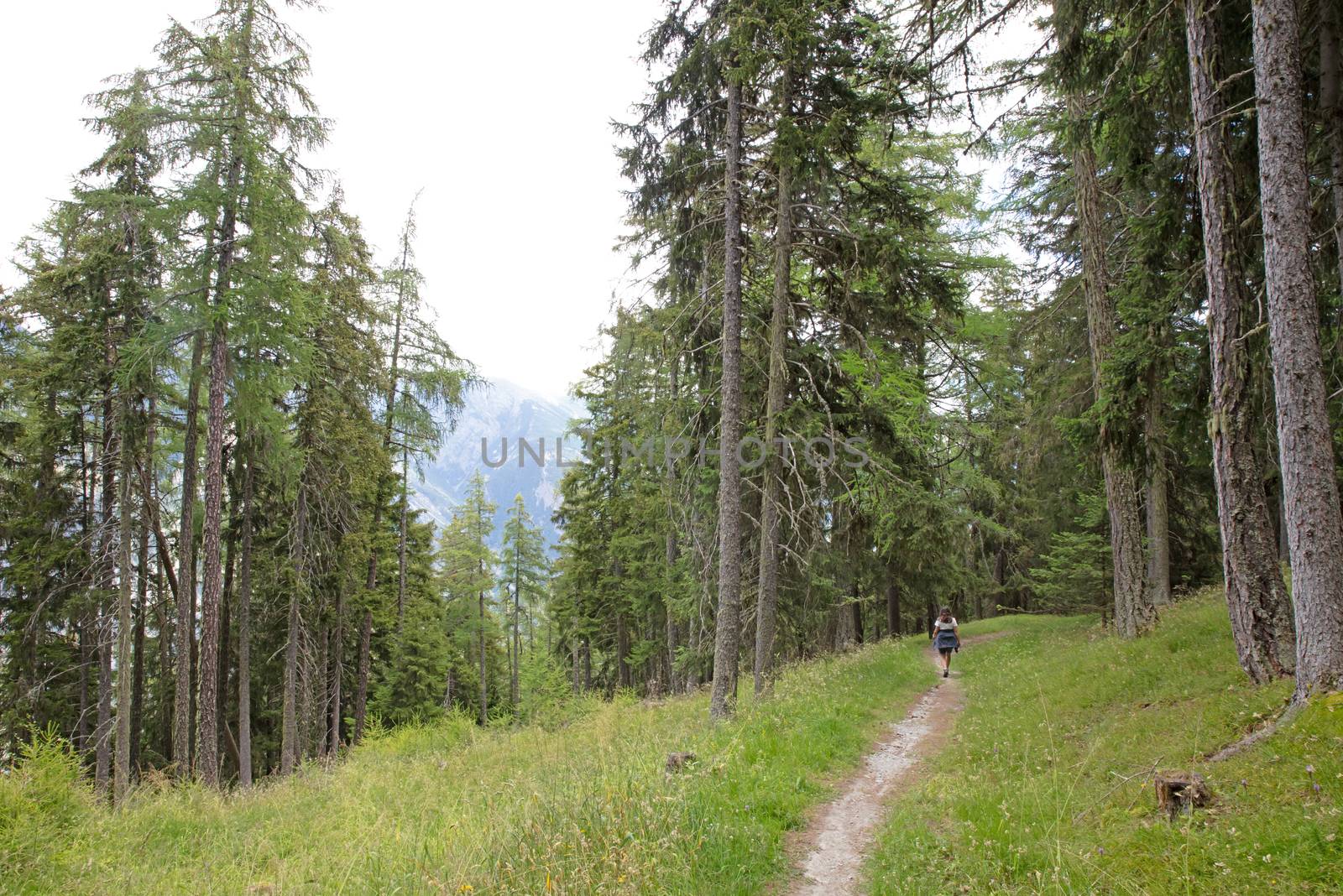 Woman traveler is walking through the woods by michaklootwijk