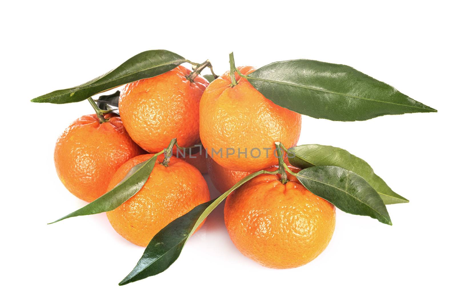 delicious Clementine in front of white background