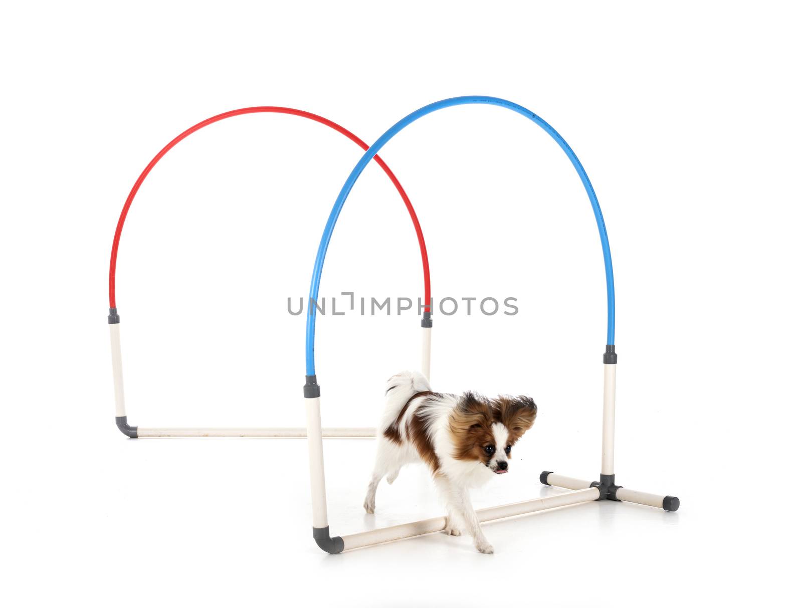 hooper training in front of white background