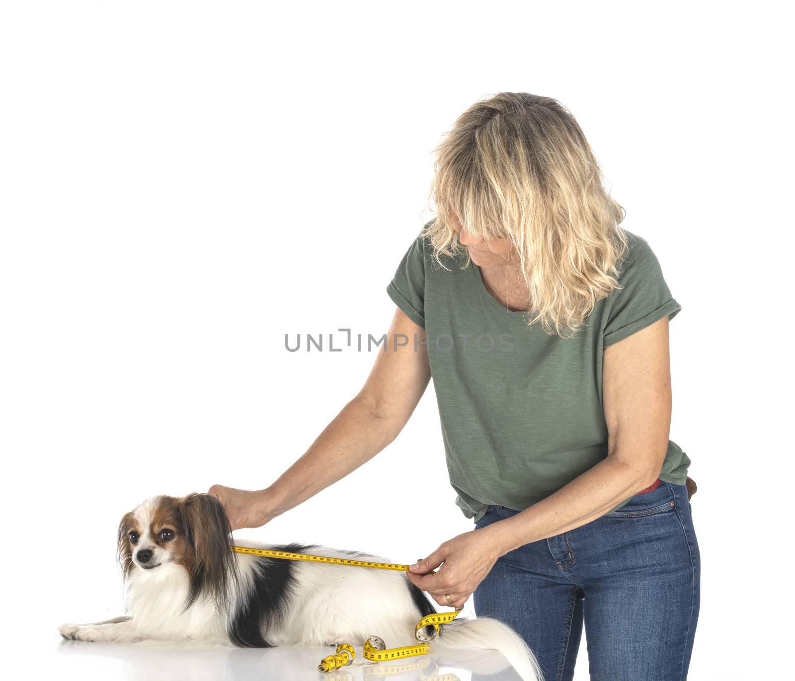 papillon and measuring tape in front of white background