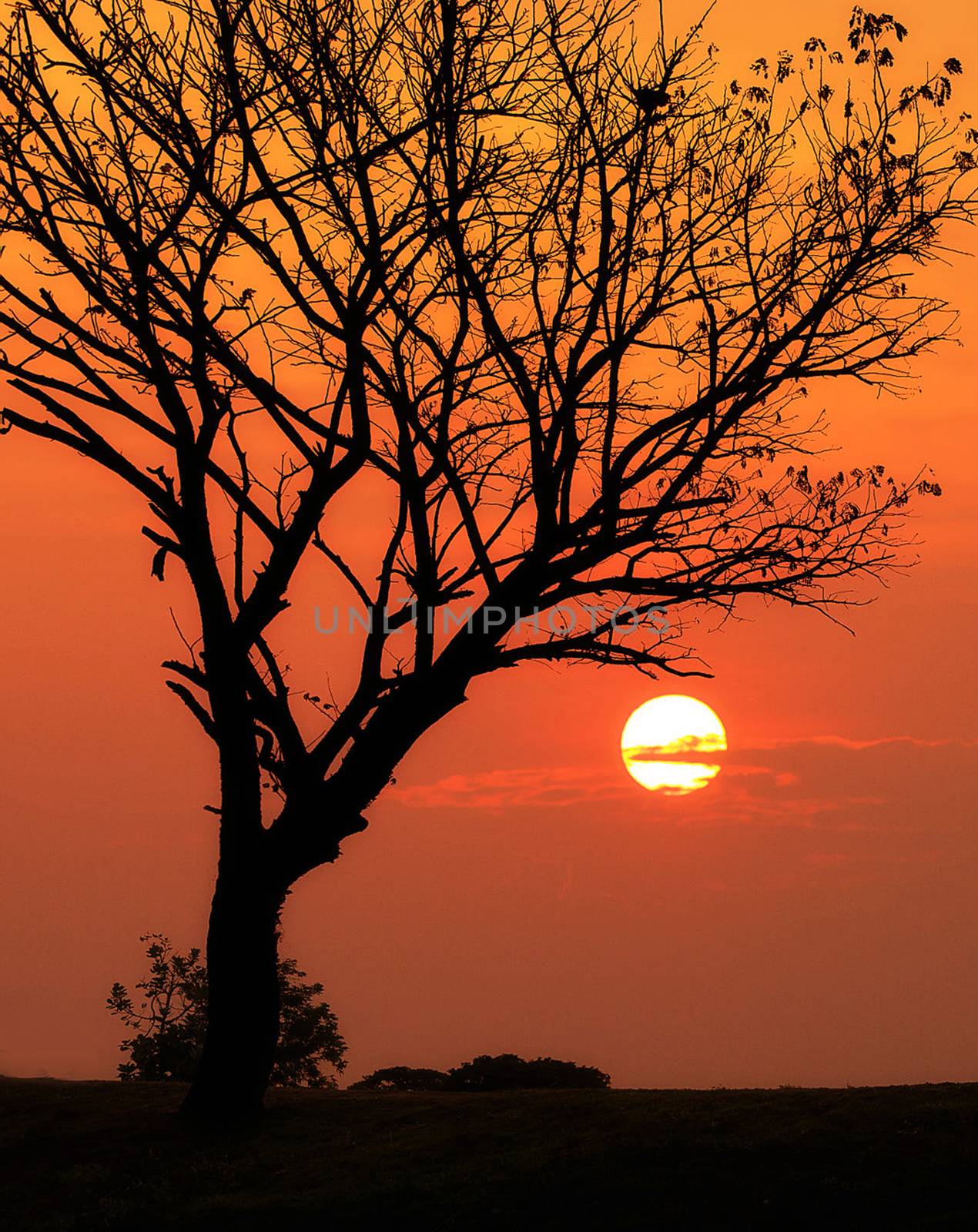 Beautiful pictures of  Laos by TravelSync27