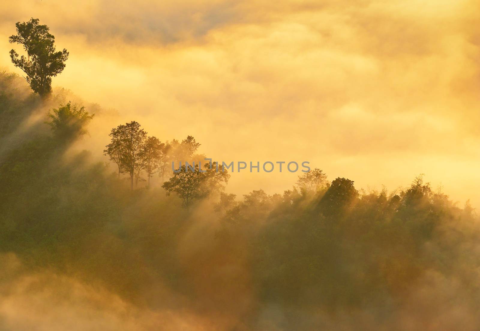 Beautiful pictures of  Laos by TravelSync27