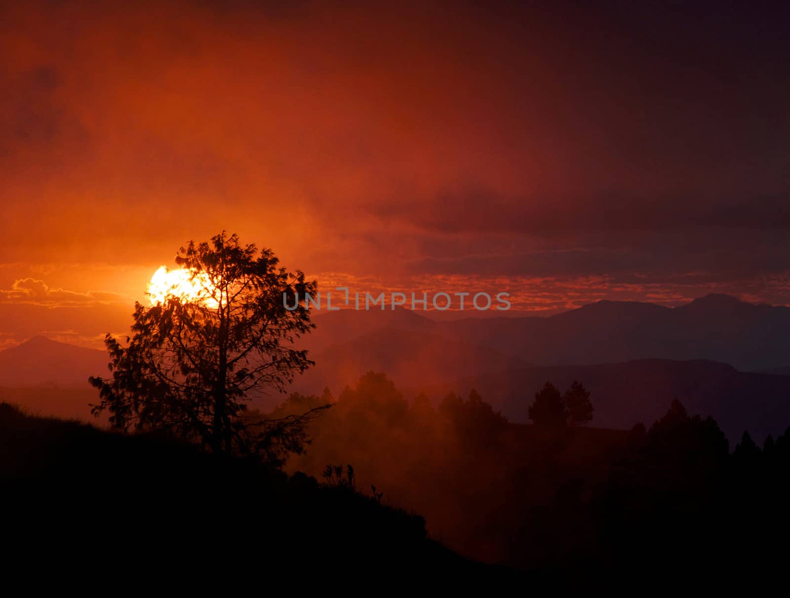 Beautiful pictures of Madagascar