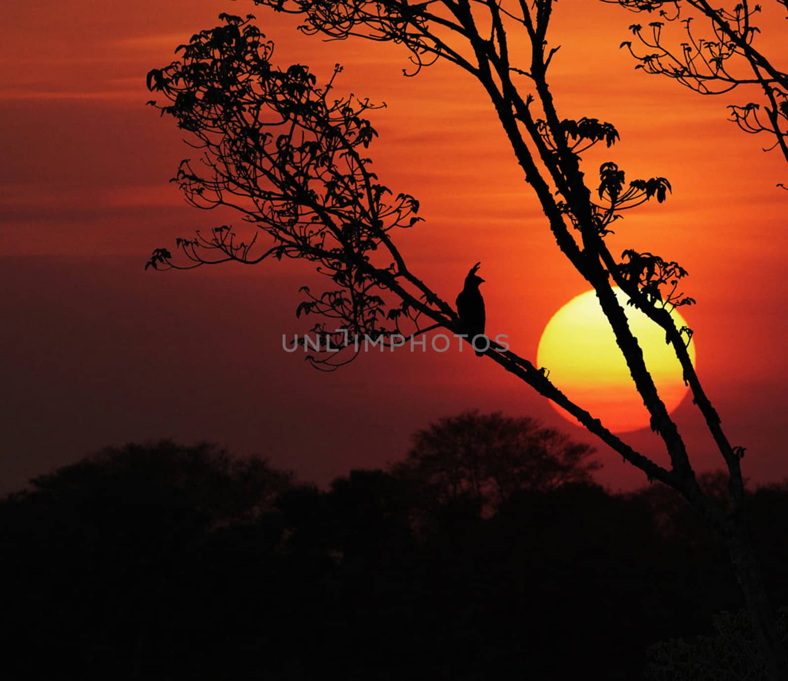 Beautiful pictures of Malawi