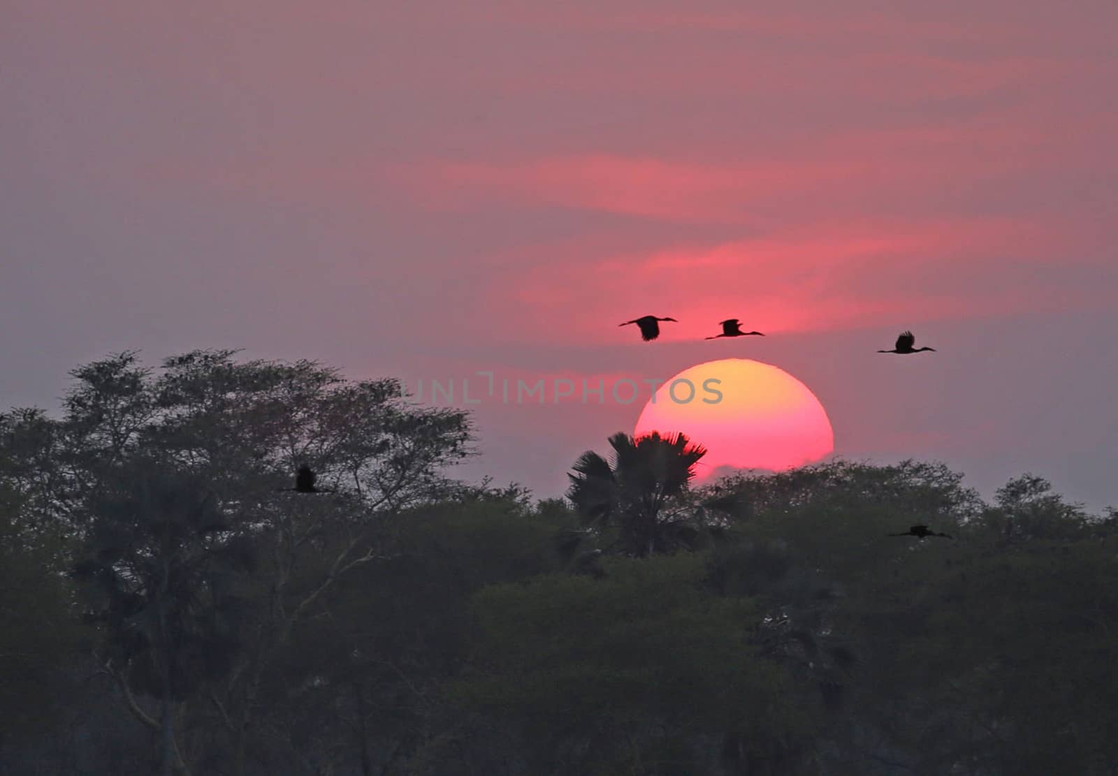 Beautiful pictures of Malawi