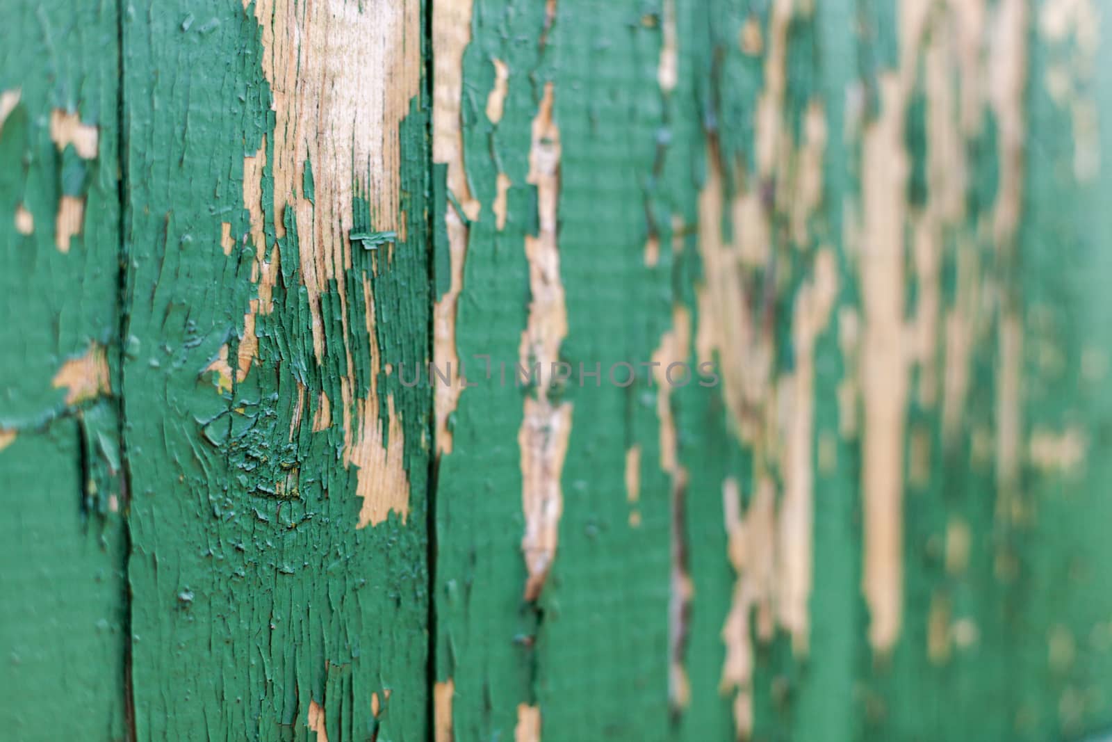 Dark green scratched grunge Wooden textured wall. Old wood texture with peeling paint.
