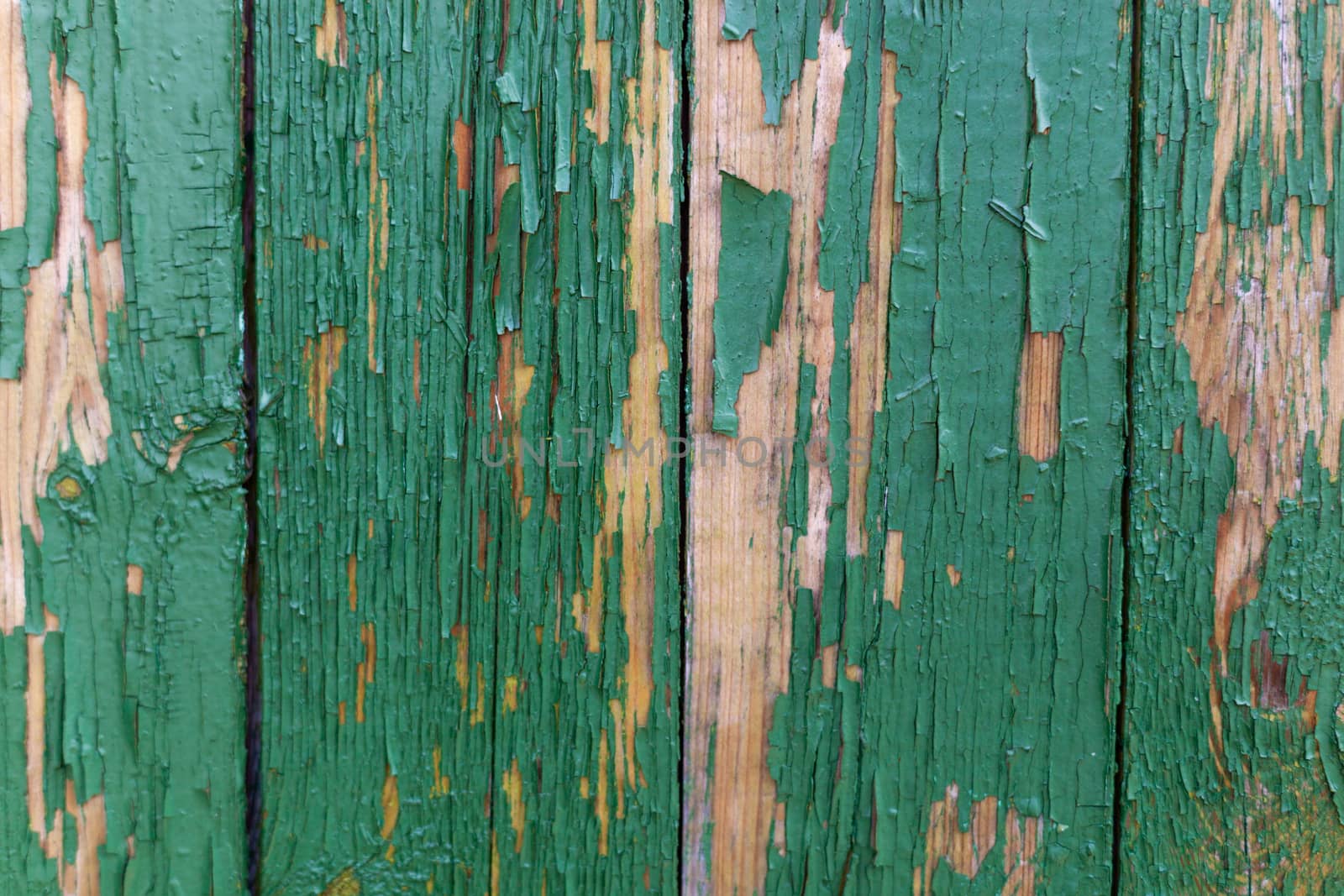 Dark green scratched grunge Wooden textured wall. Old wood texture with peeling paint.