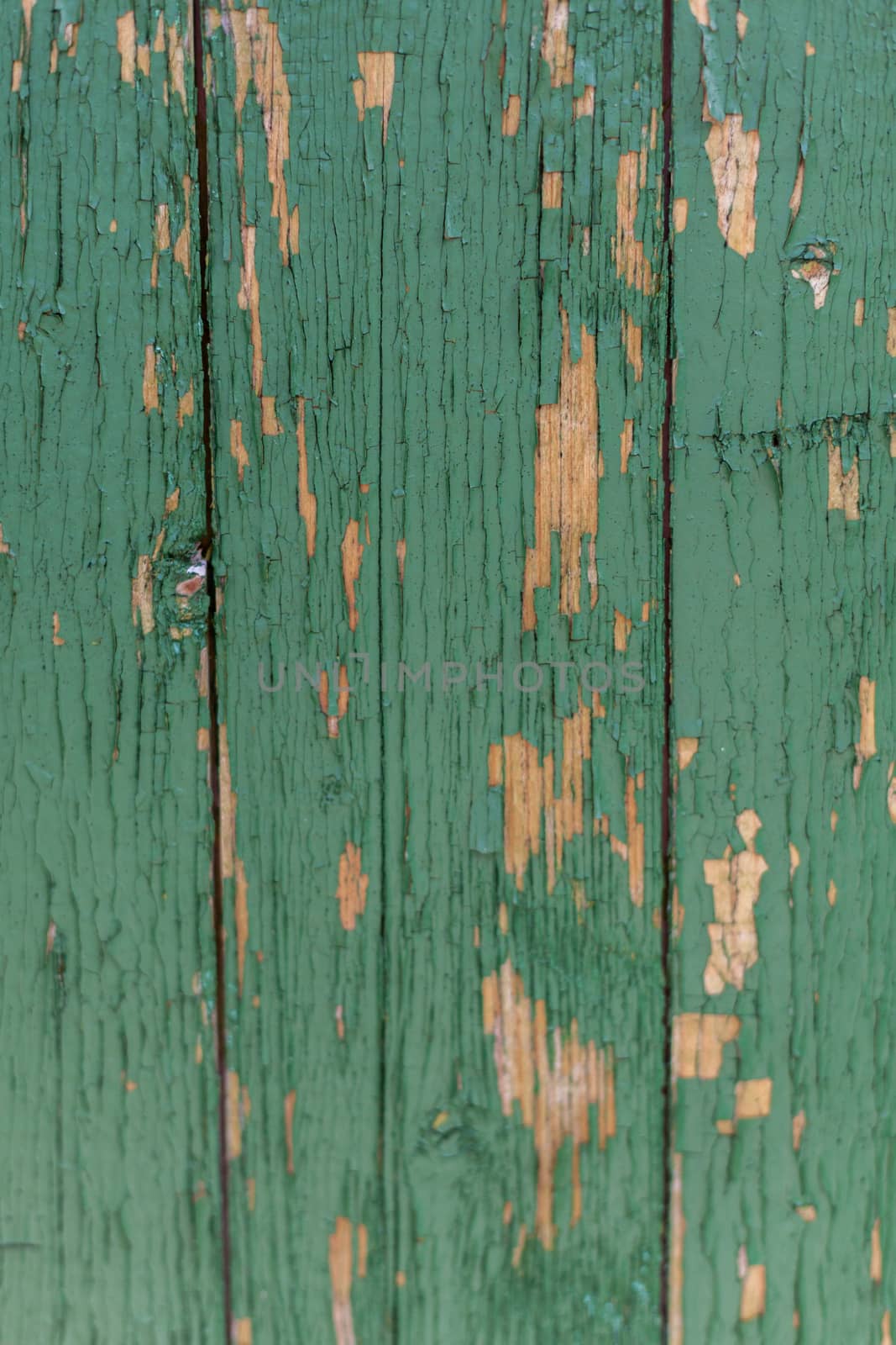 Dark green scratched grunge Wooden textured wall. Old wood texture with peeling paint.