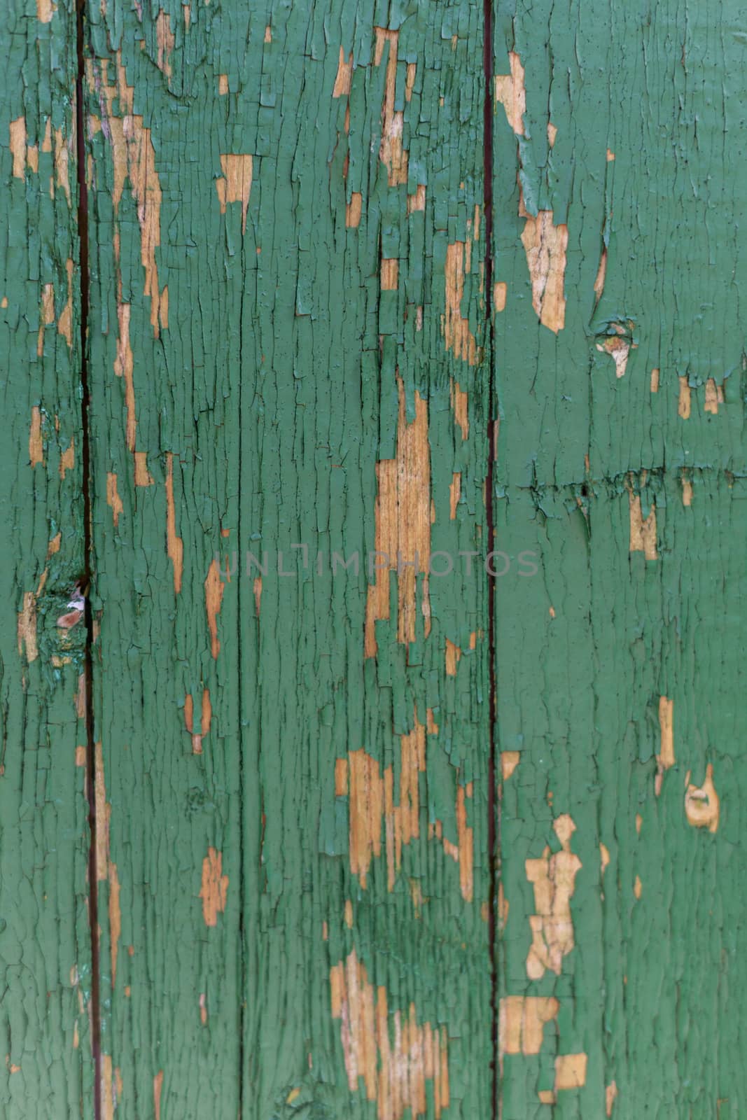 Dark green scratched grunge Wooden textured wall. Old wood texture with peeling paint.