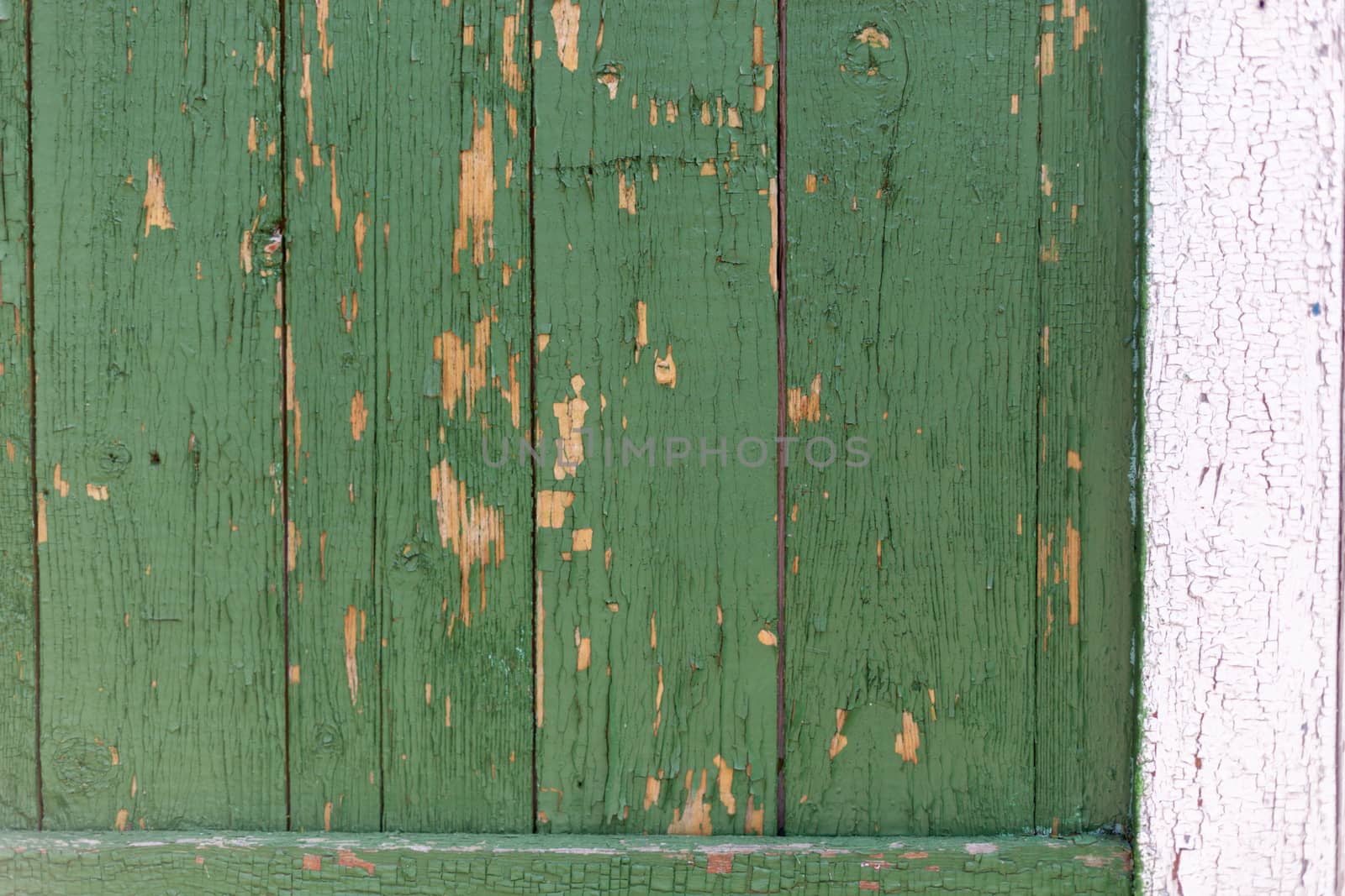 Dark green scratched grunge Wooden textured wall. Old wood texture with peeling paint.