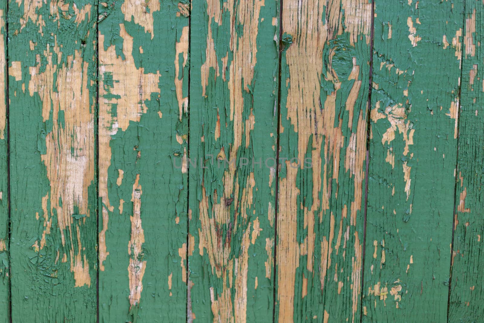 Dark green scratched grunge Wooden textured wall. Old wood texture with peeling paint.