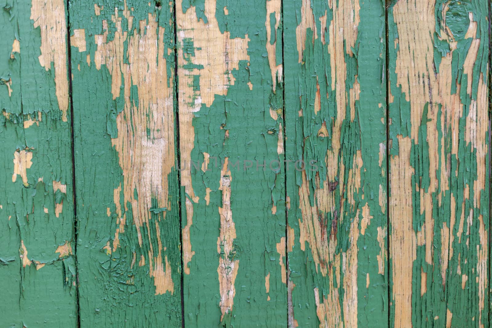 Dark green scratched grunge Wooden textured wall. Old wood texture with peeling paint.