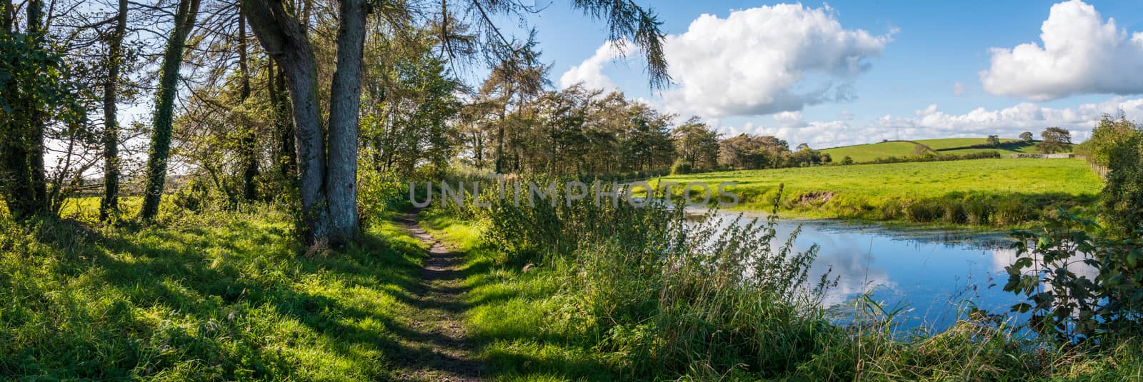 Panaorama of English rural countryside scenery on British waterway canal by paddythegolfer