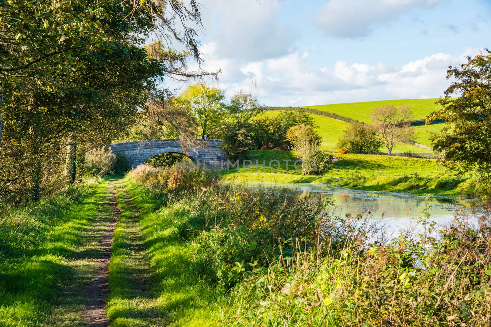 English rural countryside scenery on British waterway canal by paddythegolfer