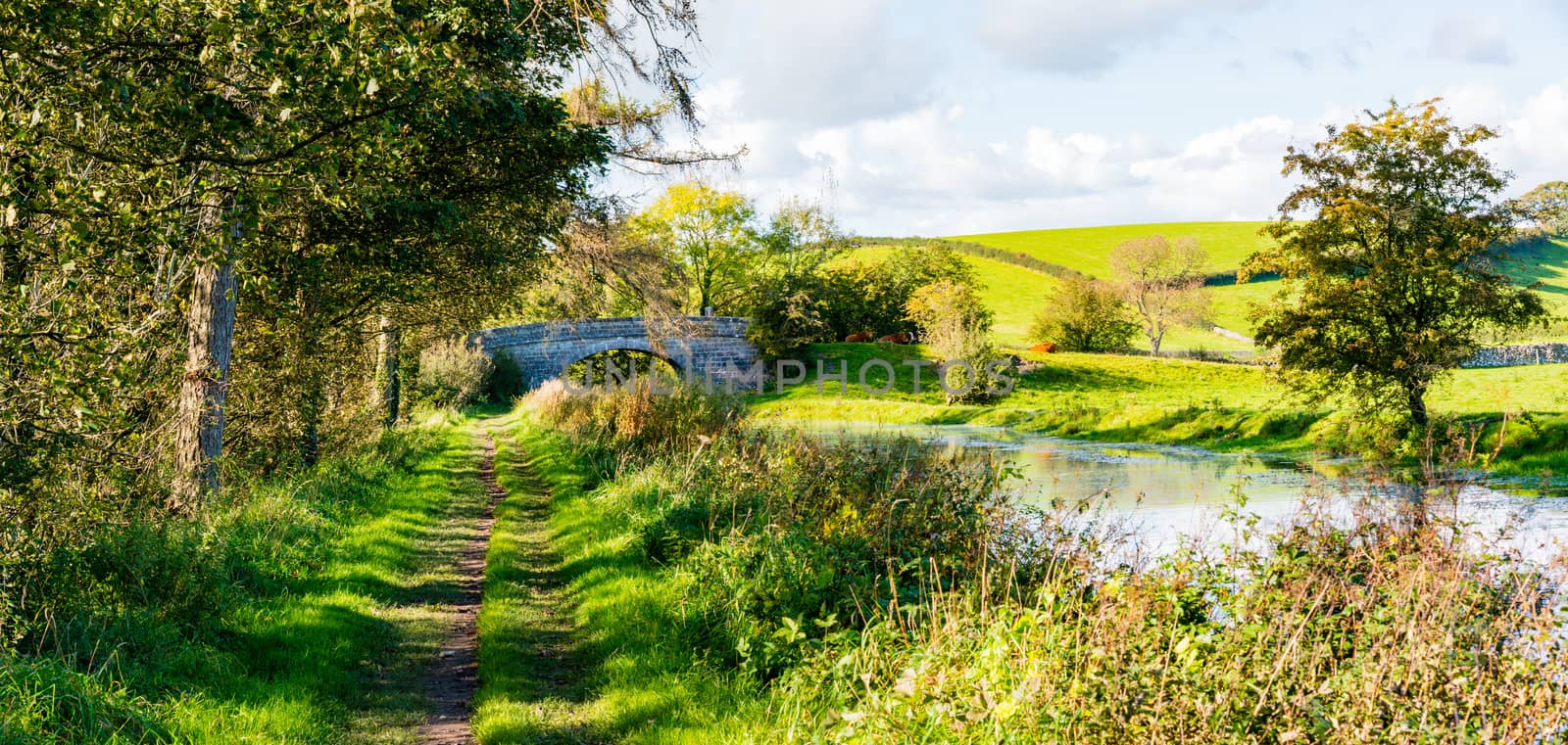 Panaorama of English rural countryside scenery on British waterway canal by paddythegolfer