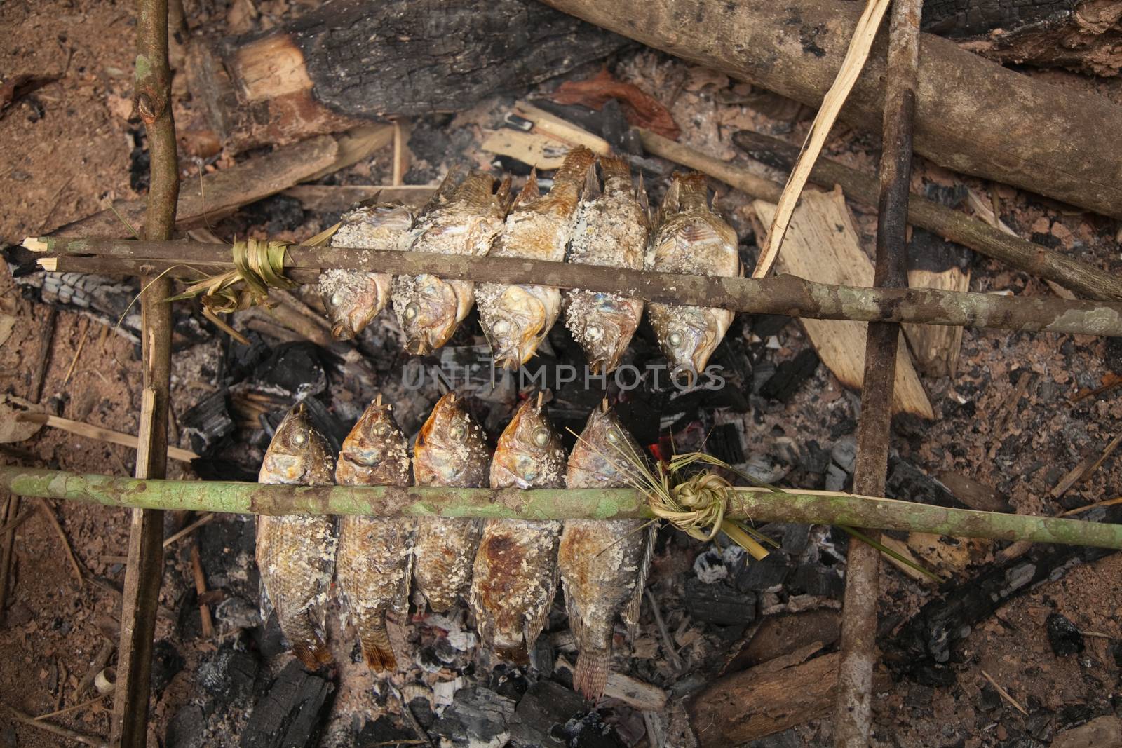 Laos, street food. Traditional food cooked at road sides in stalls on skewers for grilling, chicken, fish, birds High quality photo