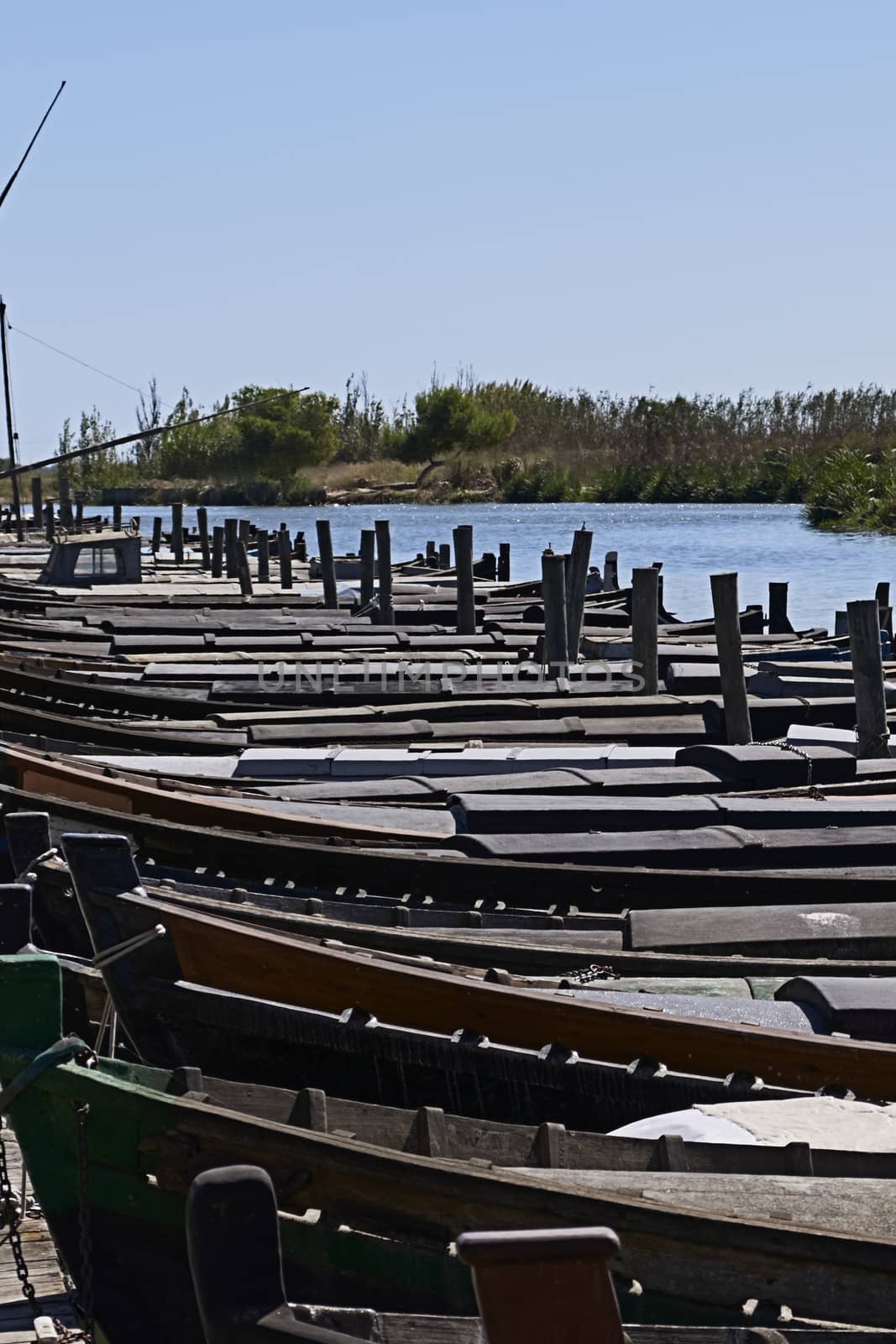 Set of small boats in a fishing port. lake, blue sky, reeds, wood