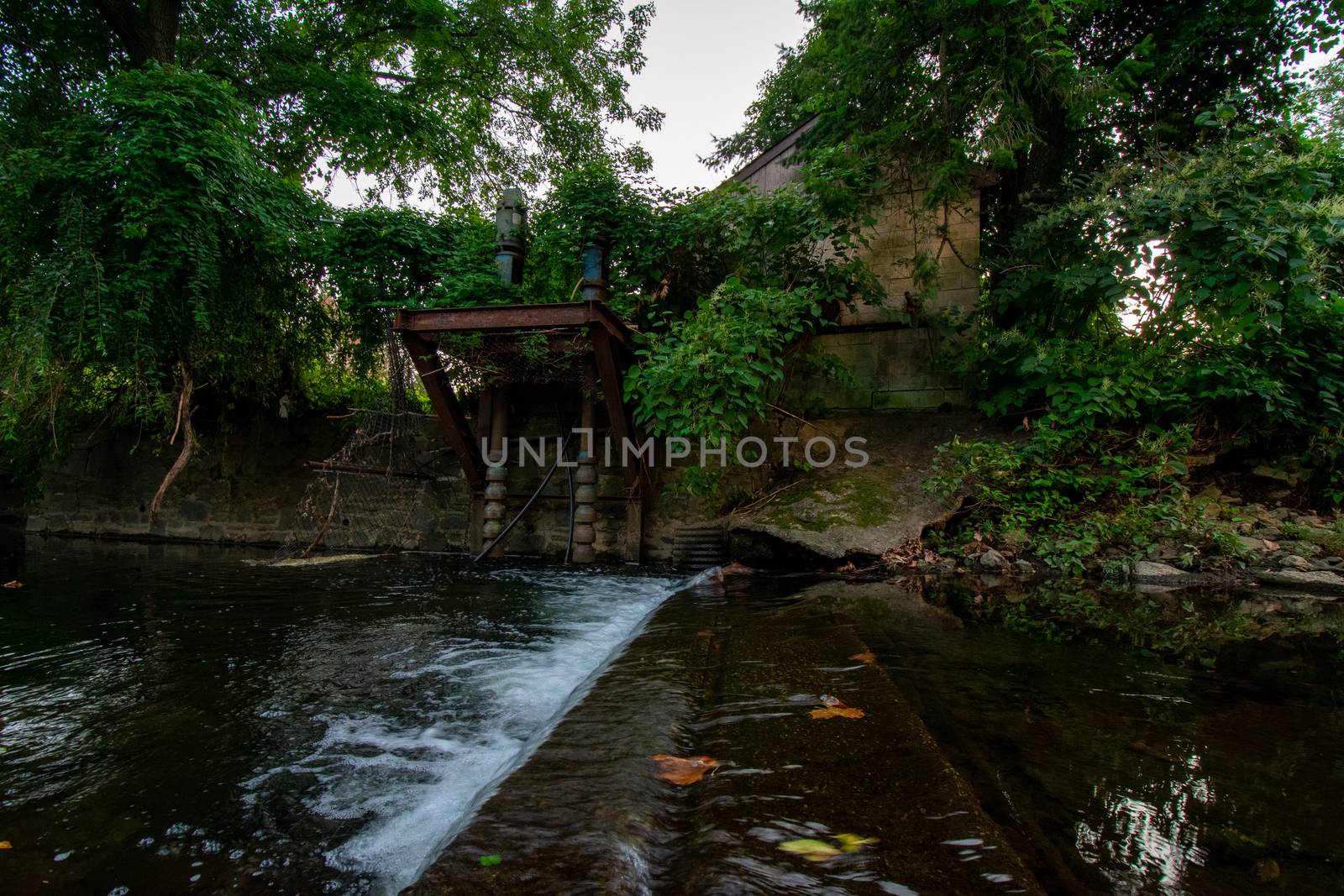 A Small Abandoned Dam in a Creek in Elkins Park, Pennsylvania by bju12290
