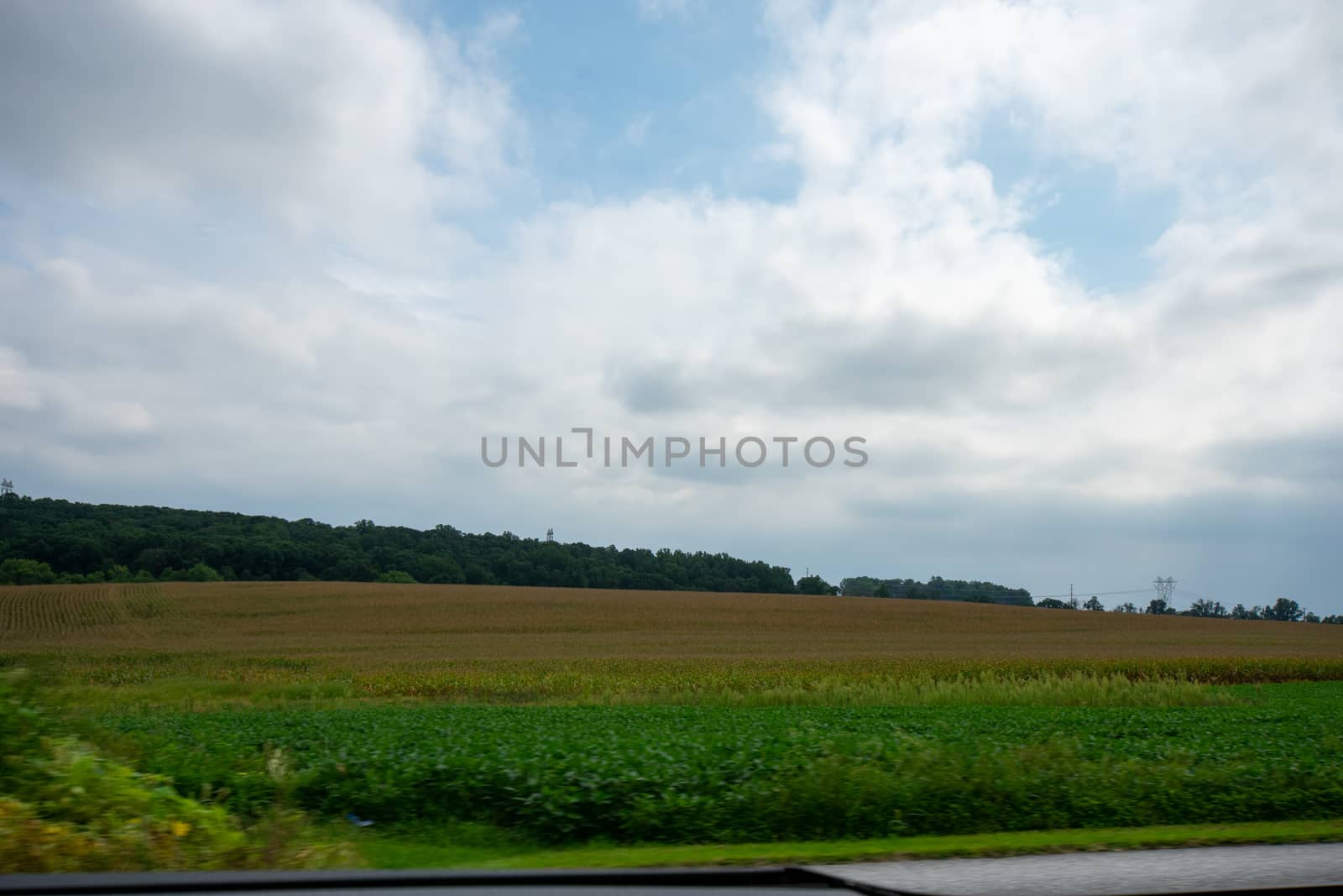 Looking Out the Car at A Huge Field Full of Fresh Crops Flying B by bju12290