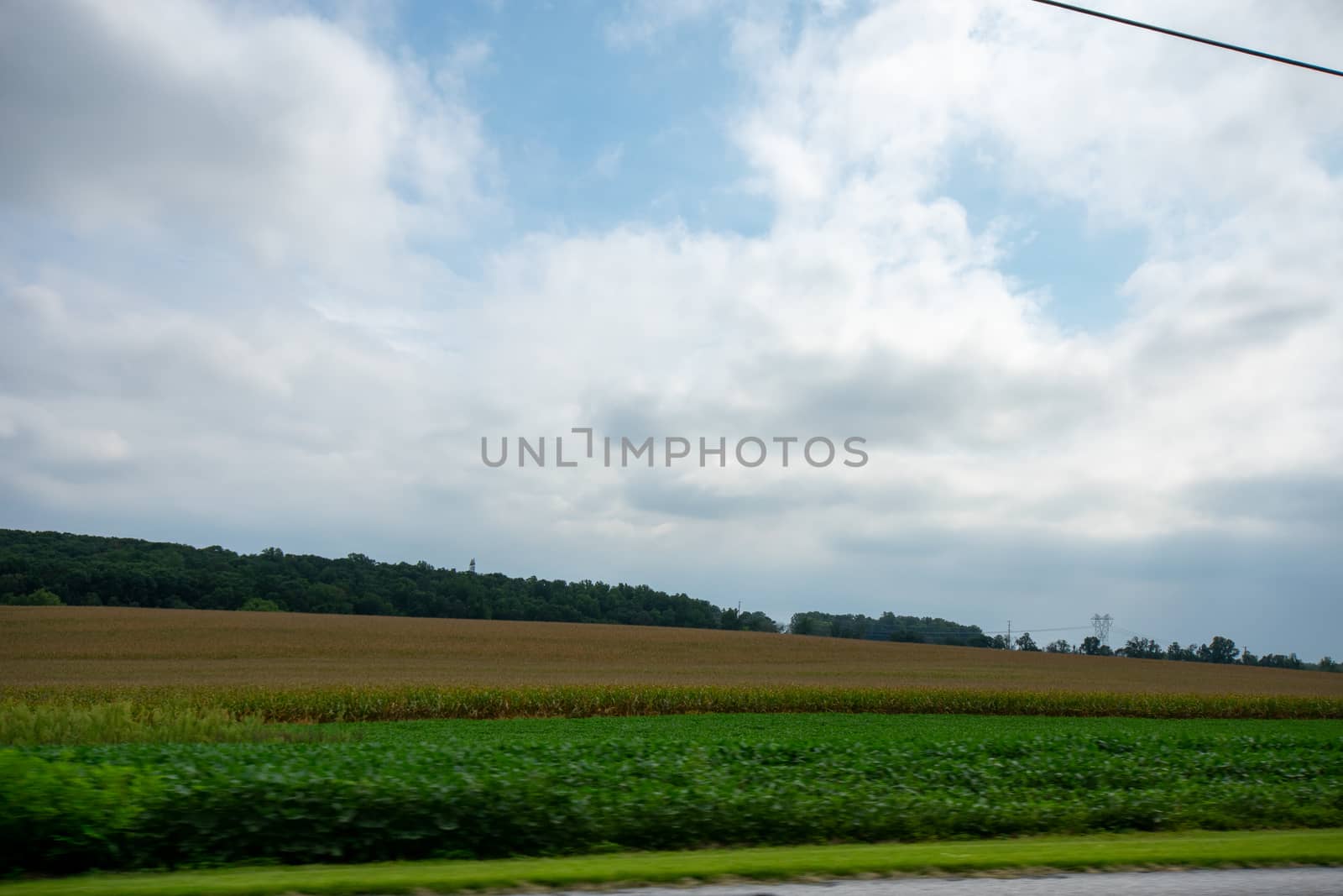 Looking Out the Car at A Huge Field Full of Fresh Crops Flying B by bju12290