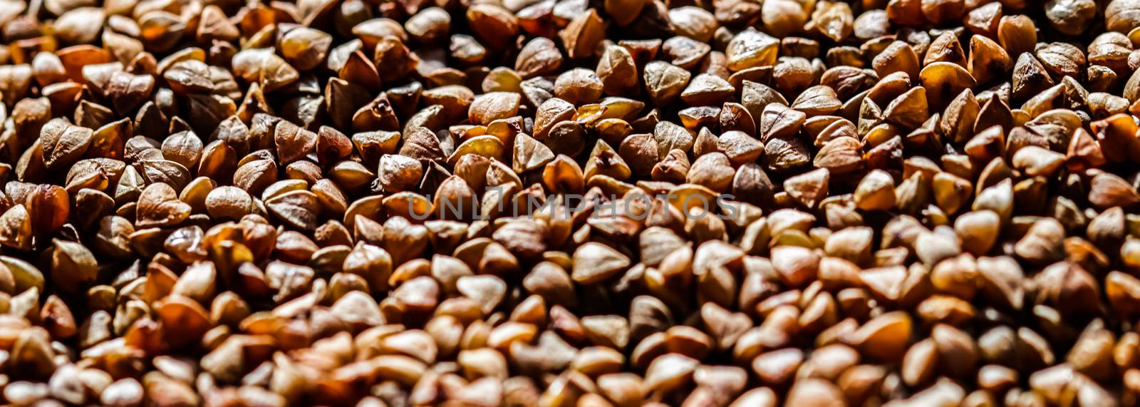 Buckwheat grain closeup, food texture and cook book background by Anneleven