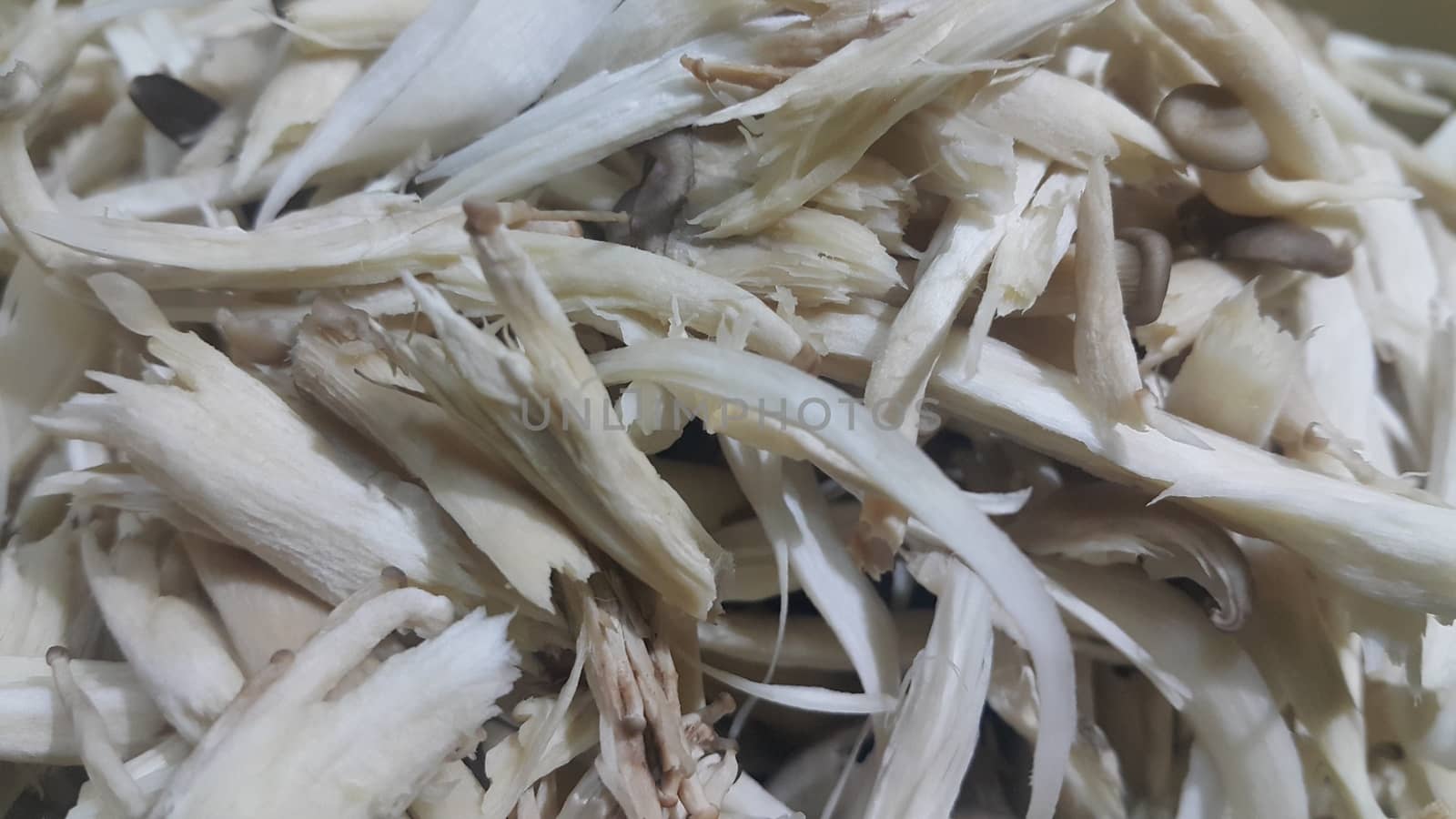 Closeup view of big pile of fresh harvested mushrooms. Food background of mushrooms in market for sale. A Vegetables background