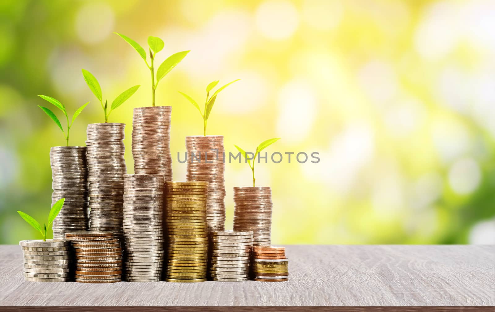 Young plants on coins stack on wood table with beautiful blurred green nature and sunlight background, concept for saving and financial business.