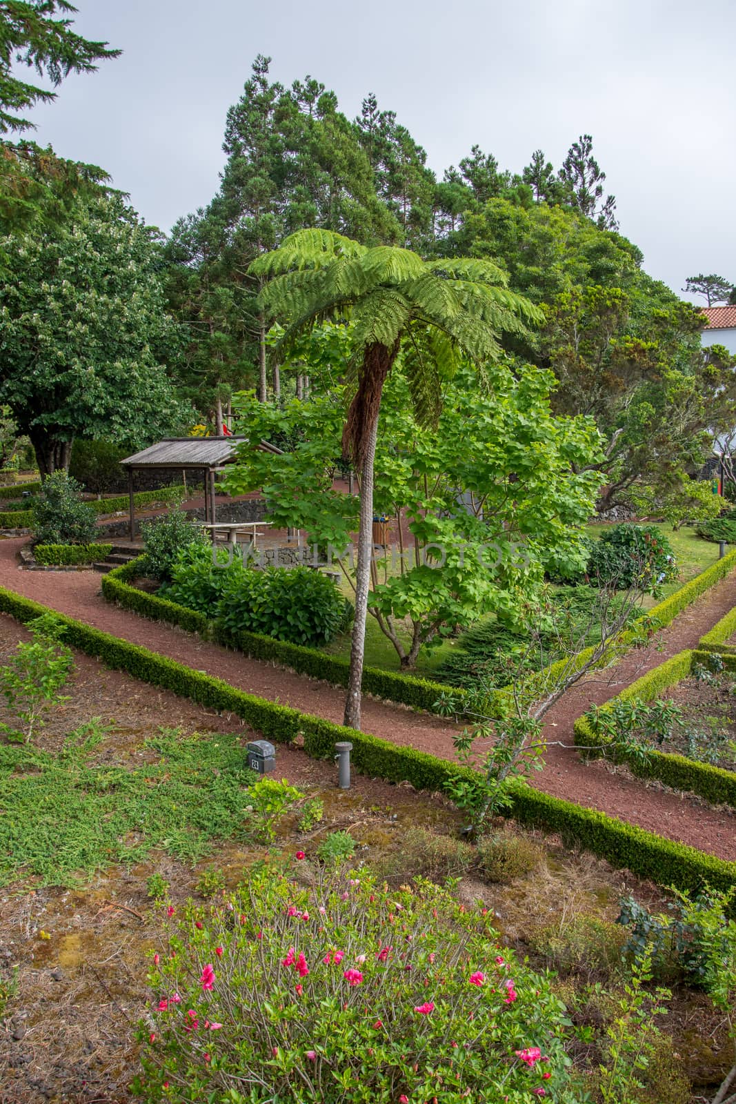 Walk on the Azores archipelago. Discovery of the island of Pico, Azores. Portugal. Madalena