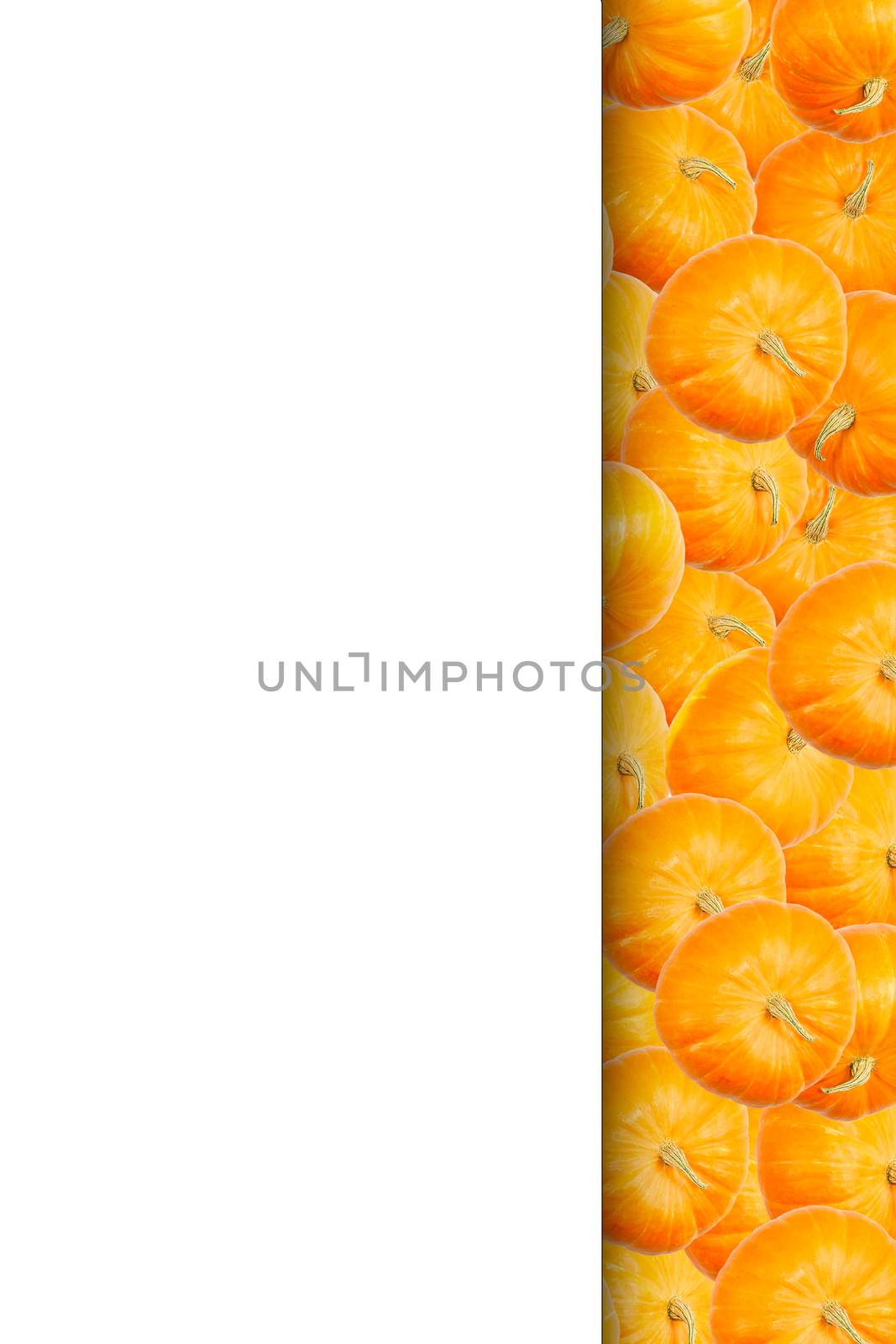 Creative layout made of pumpkin. Flat lay. Food concept. Orange ripe pumpkin modern layout can be used for menu or for halloween mockup by PhotoTime