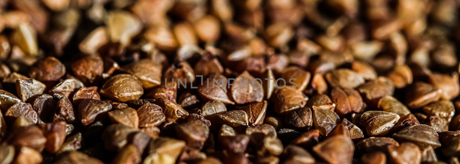 Buckwheat grain closeup, food texture and cook book background by Anneleven