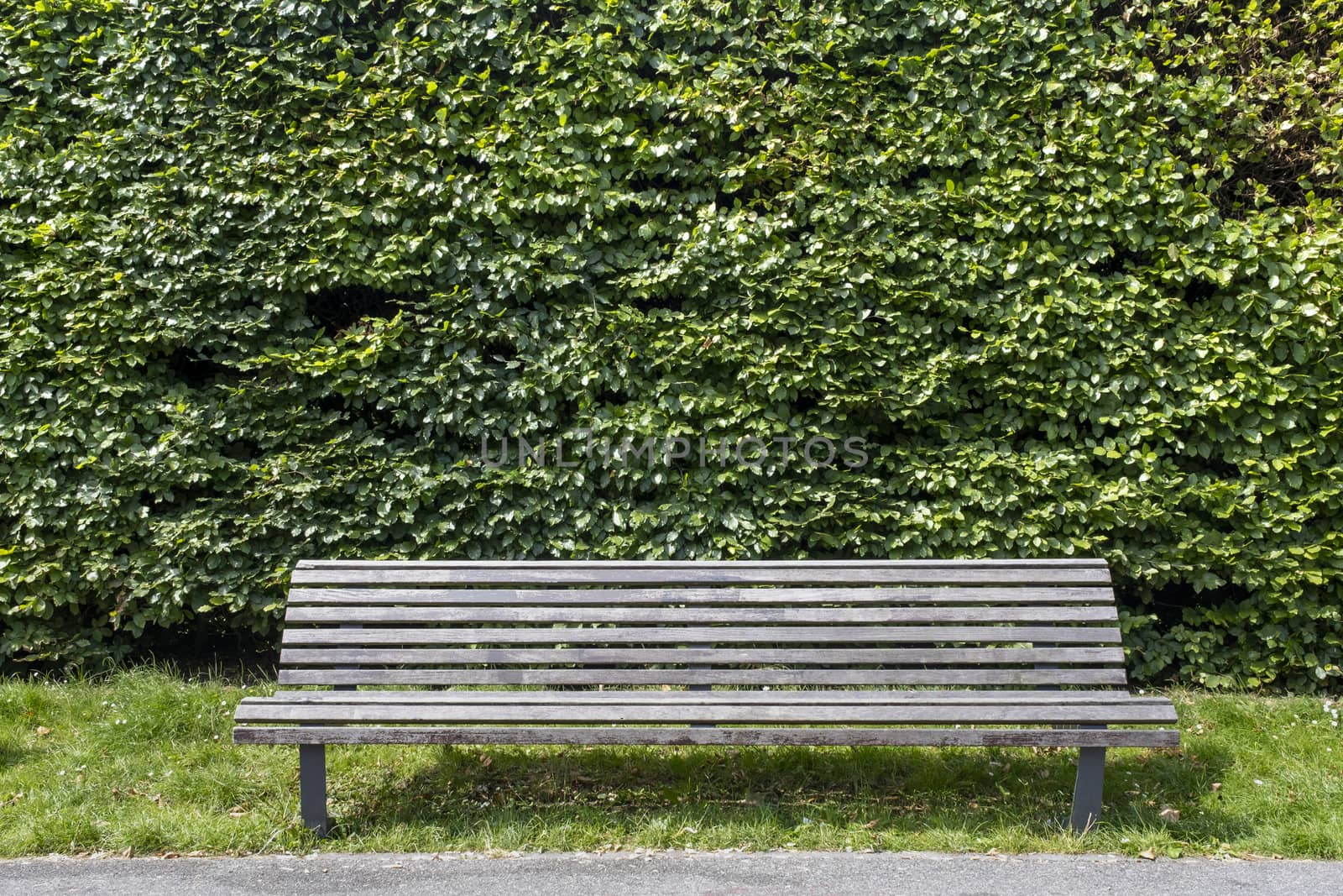 Green park with a bench in the morning light in Rotterdam, The Netherlands