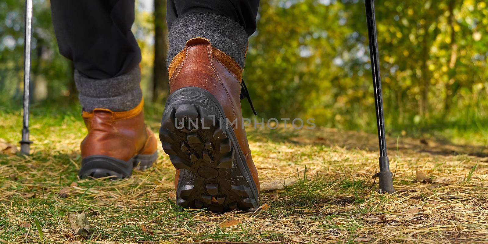 Man hiking in the woods in Autumn pine forest. Men boots walking in the woods on sunny day. hiking concept, outdoor lifestyle. by PhotoTime