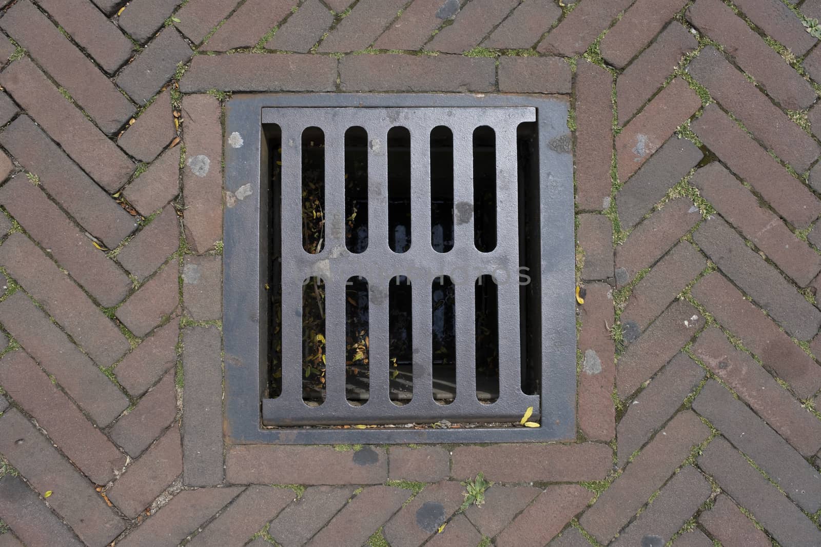 sewer manhole cover in a city street in the Netherlands