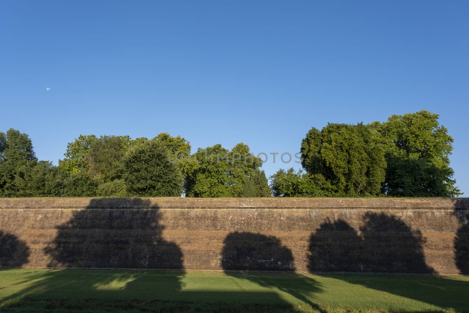 Scenic view of the exterior of the town walls of Lucca, 16-17th centuries, longer than 4 kilometers and perfectly preserved, in a sunny summer day, Lucca, Tuscany, Italy