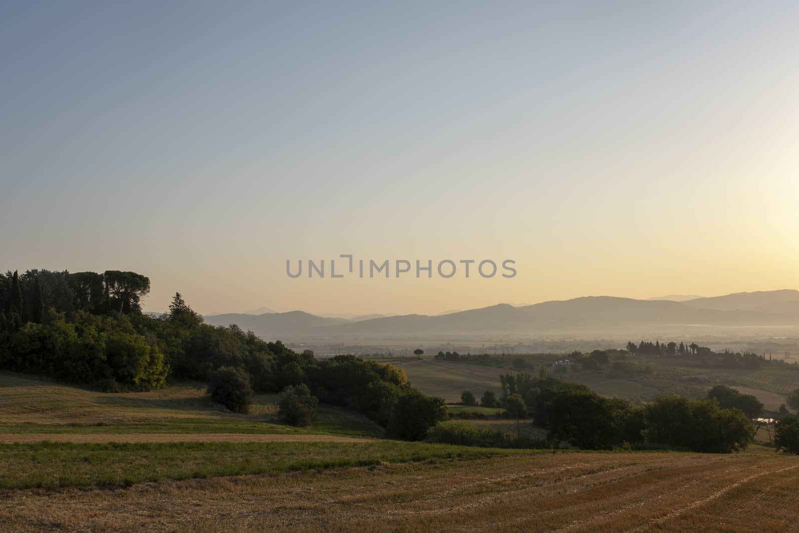 Tuscany, rural landscape in Crete Senesi land. Rolling hills, countryside farm, cypresses trees, green field on warm sunset. Siena, Italy, Europe