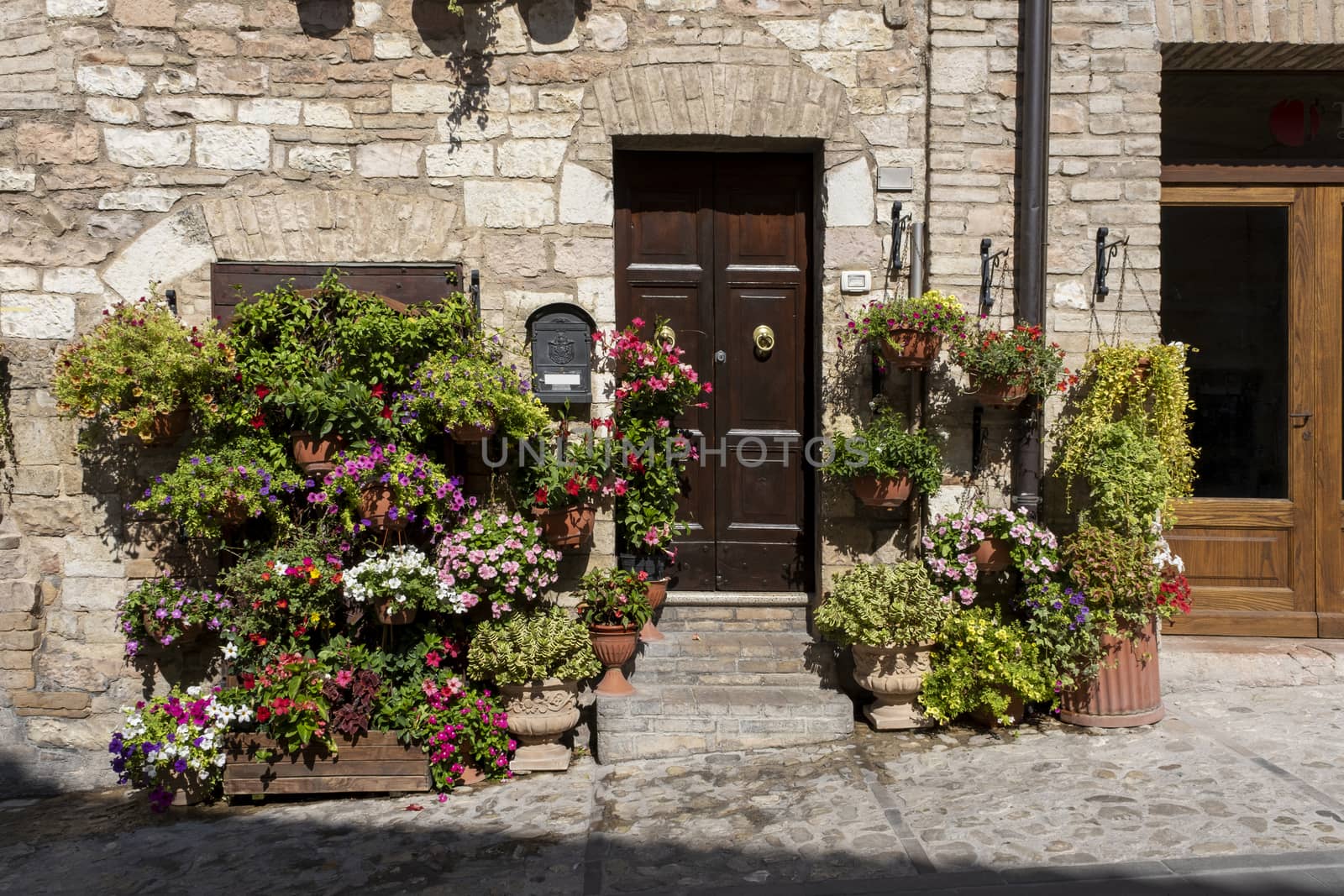 Colorful flowers outside a home in the Italian hill town of Assisi, italy