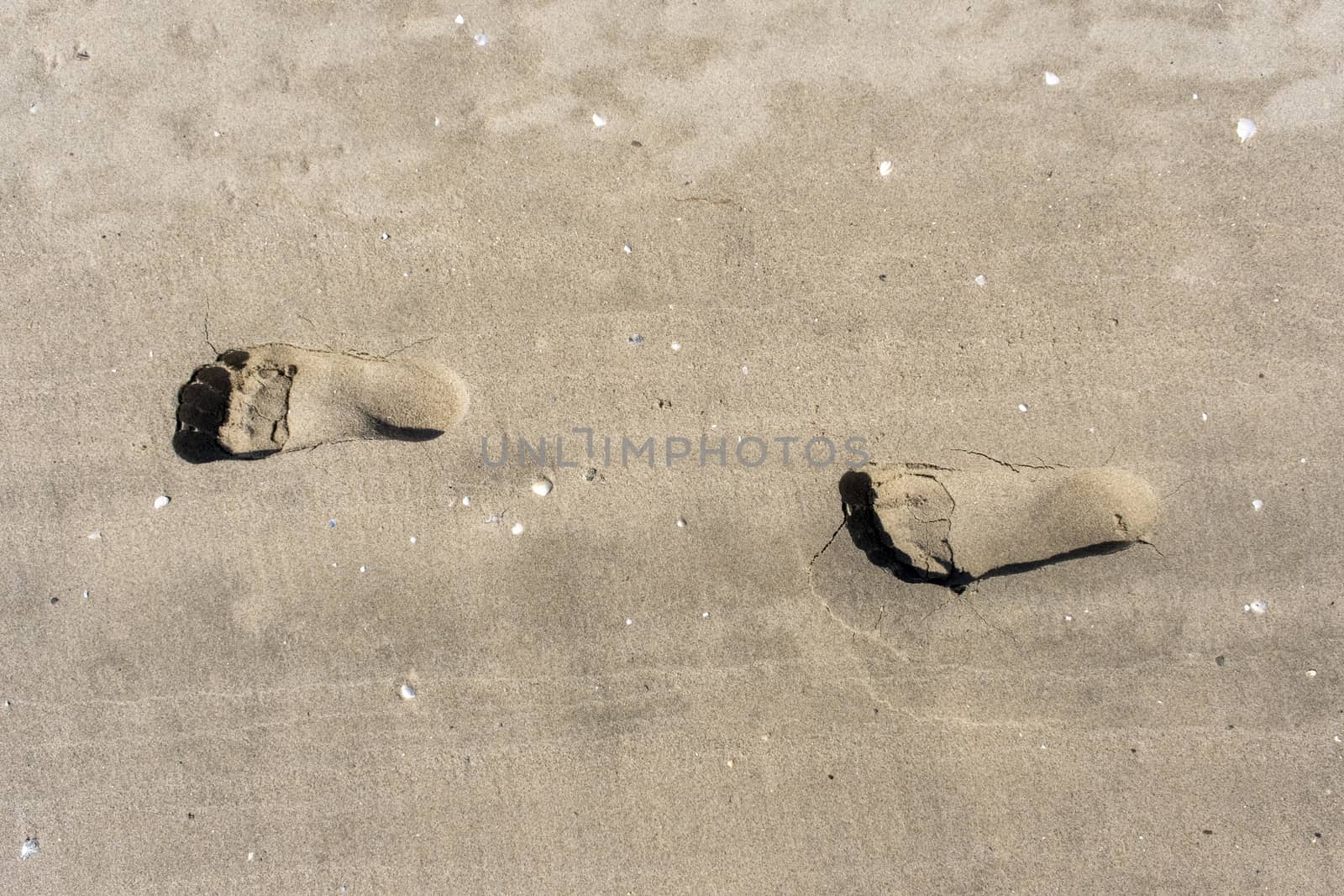 footsteps on beach in sand by Tjeerdkruse