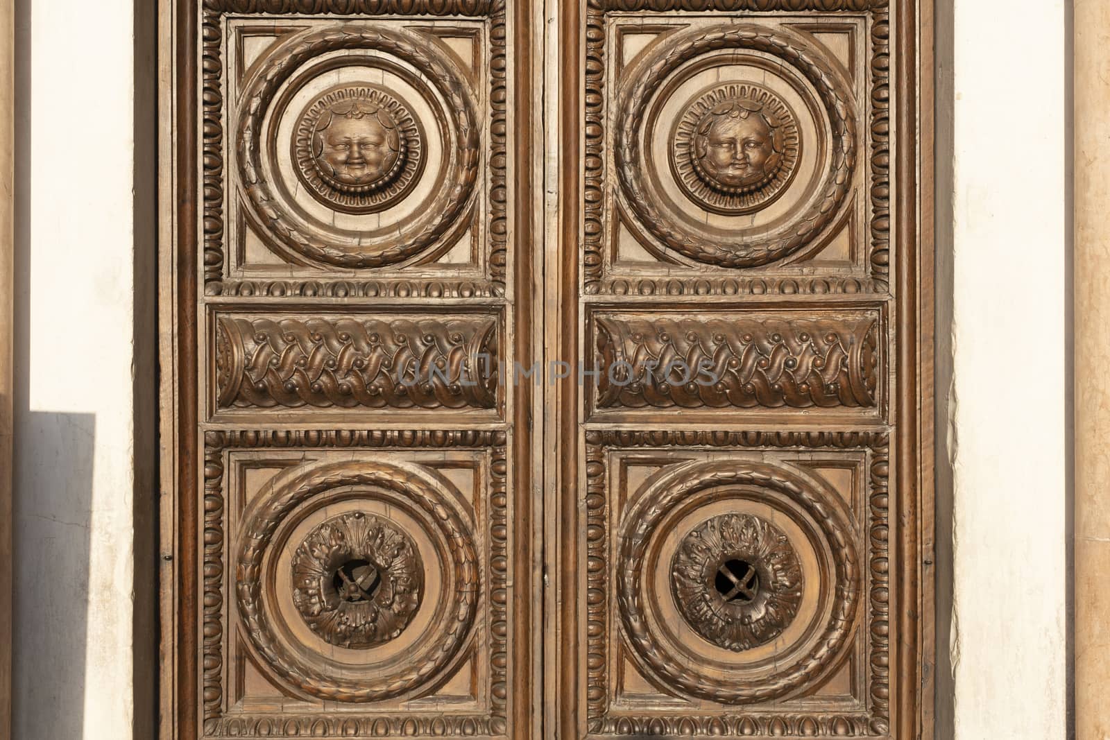Old wooden door with vintage ornaments