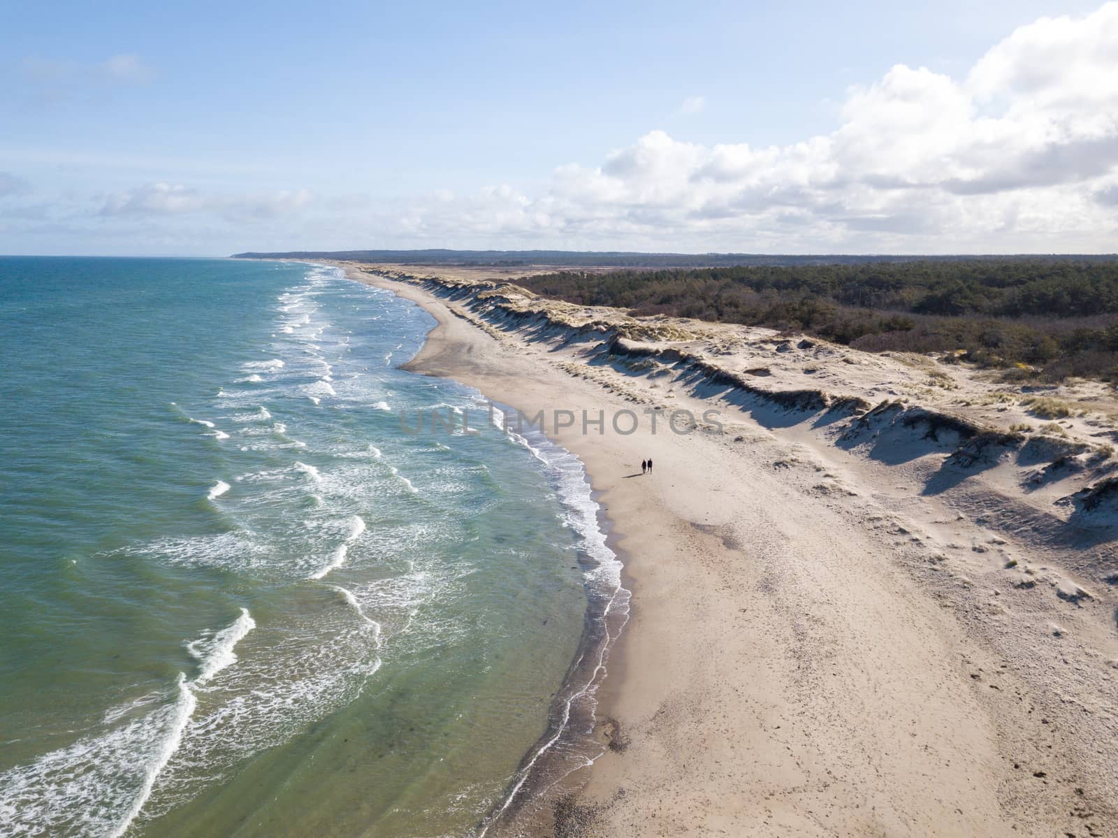Liseleje, Denmark - April 4, 2020: Aerial drone view of the beach, sand dunes and forest.