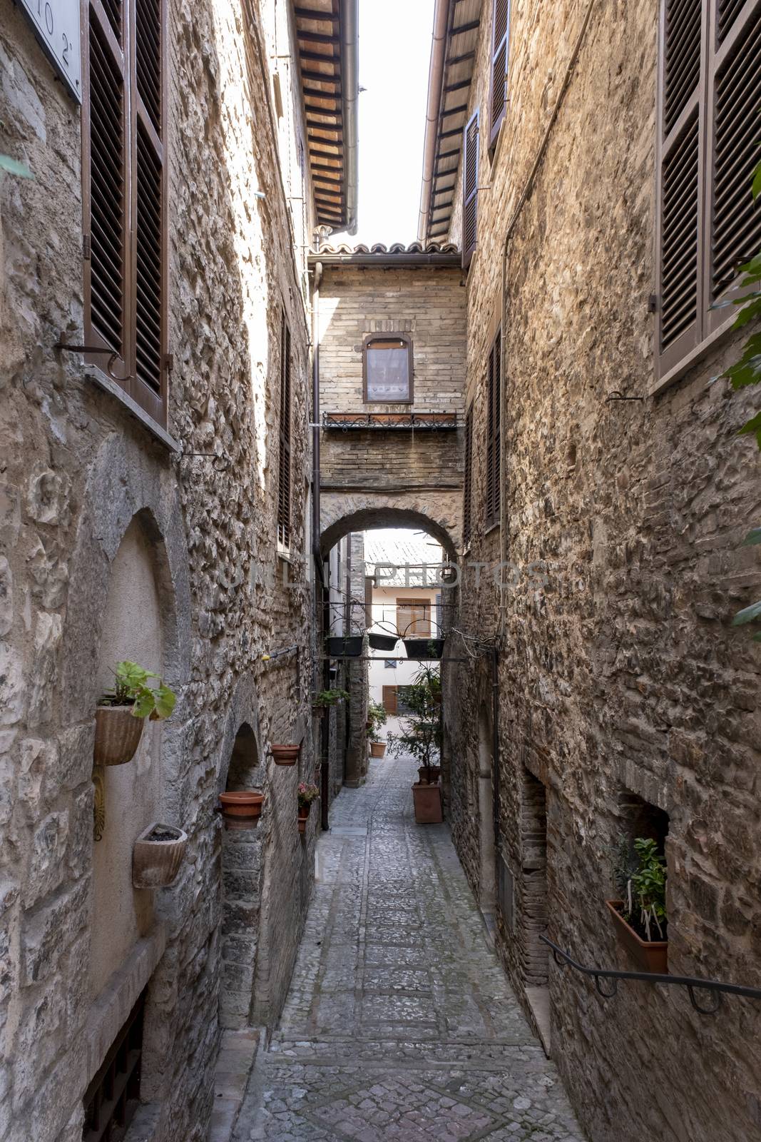 Beautiful small street in provincial Italy by Tjeerdkruse