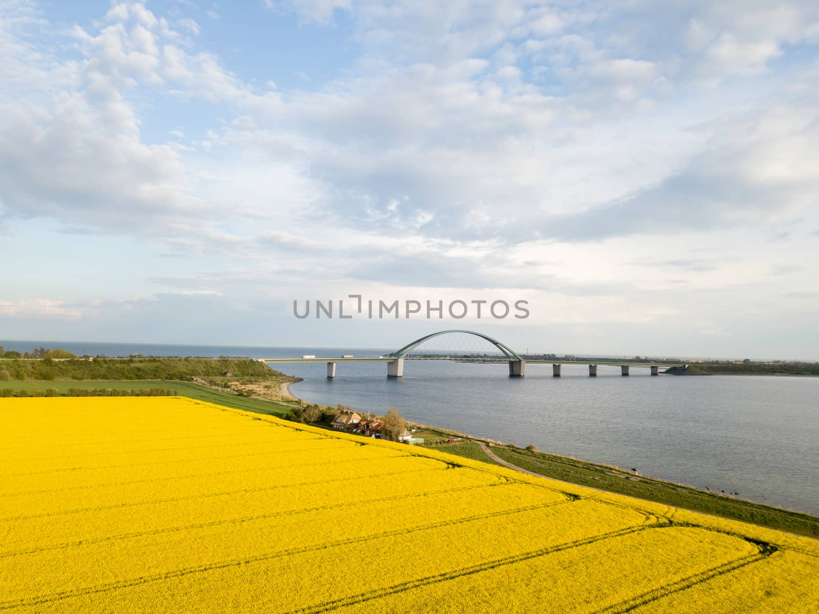 Fehmarn, Germany - May 11, 2019: Aerial drone view of Fehmarn Bridge and yellow rapeseed fields.