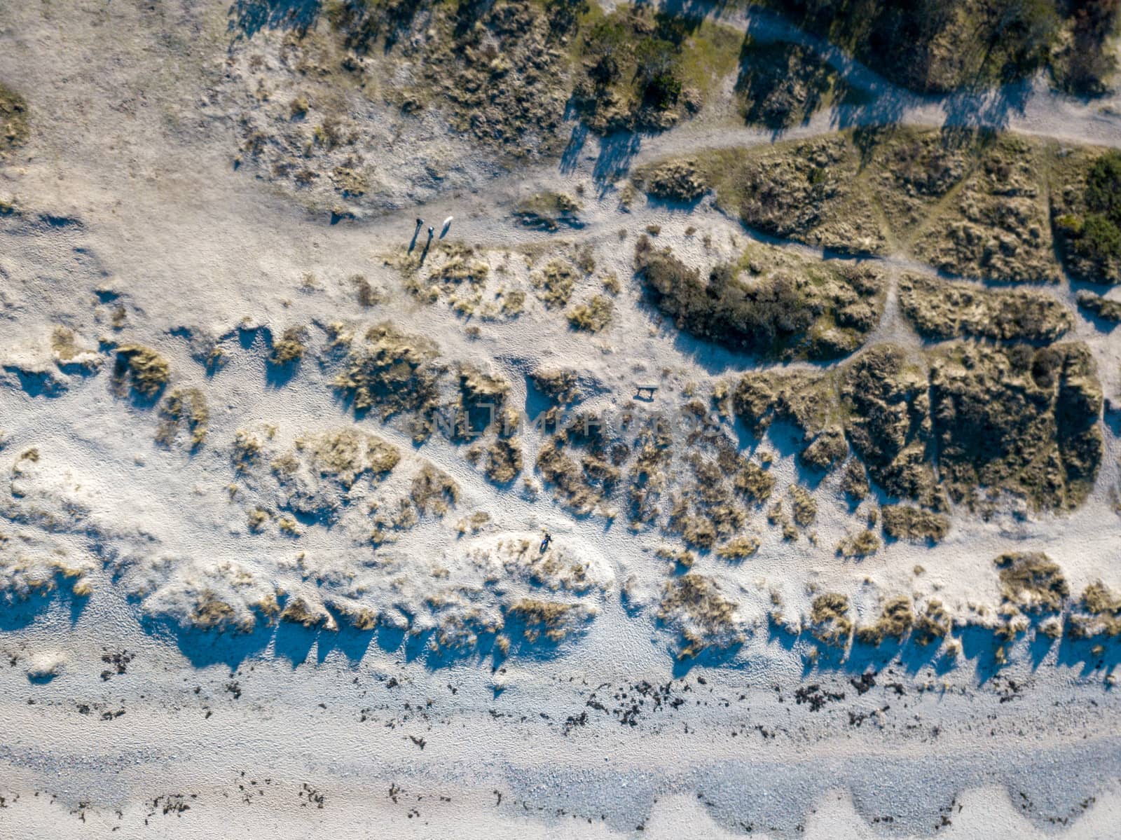 Tisvildeleje, Denmark - February 24, 2019: Aerial drone  view of the coastline beach, sand dunes and forest.