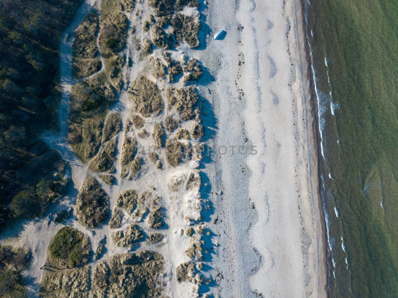 Tisvildeleje, Denmark - February 24, 2019: Aerial drone  view of the coastline beach, sand dunes and forest.