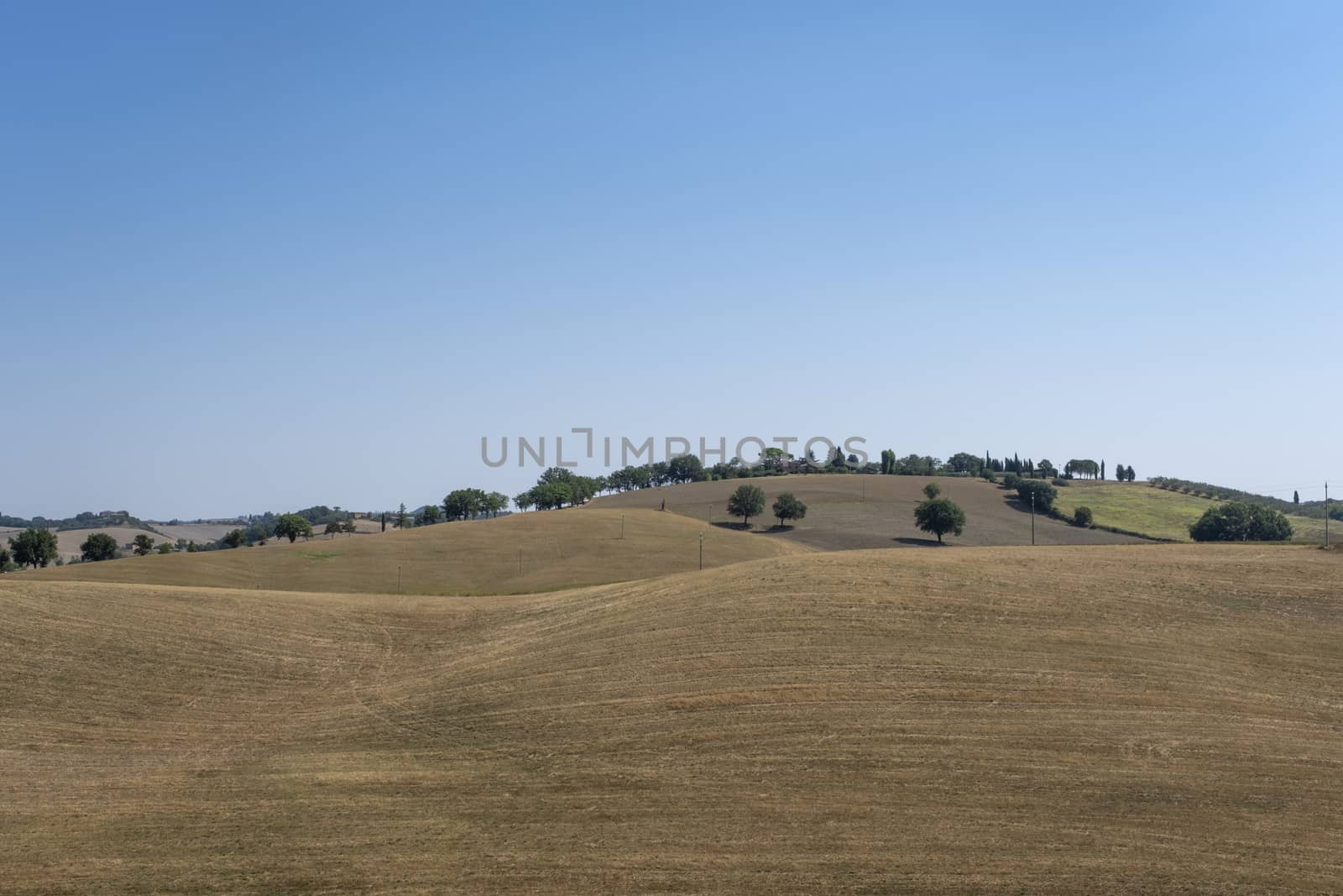 typical summer Tuscany landscape in Italy.