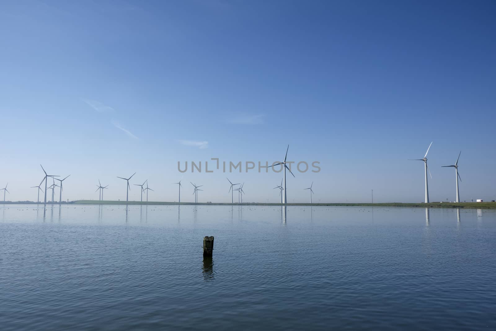 Modern windmills in the water near the shore along a green grassy dike in the netherlands