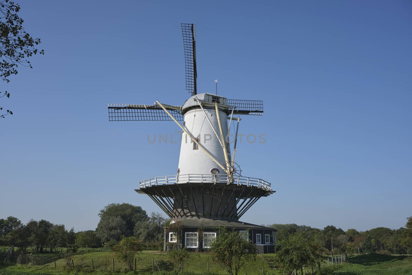 windmill 'de Koe', 'the Cow' in Veere, national monument. The Netherlands