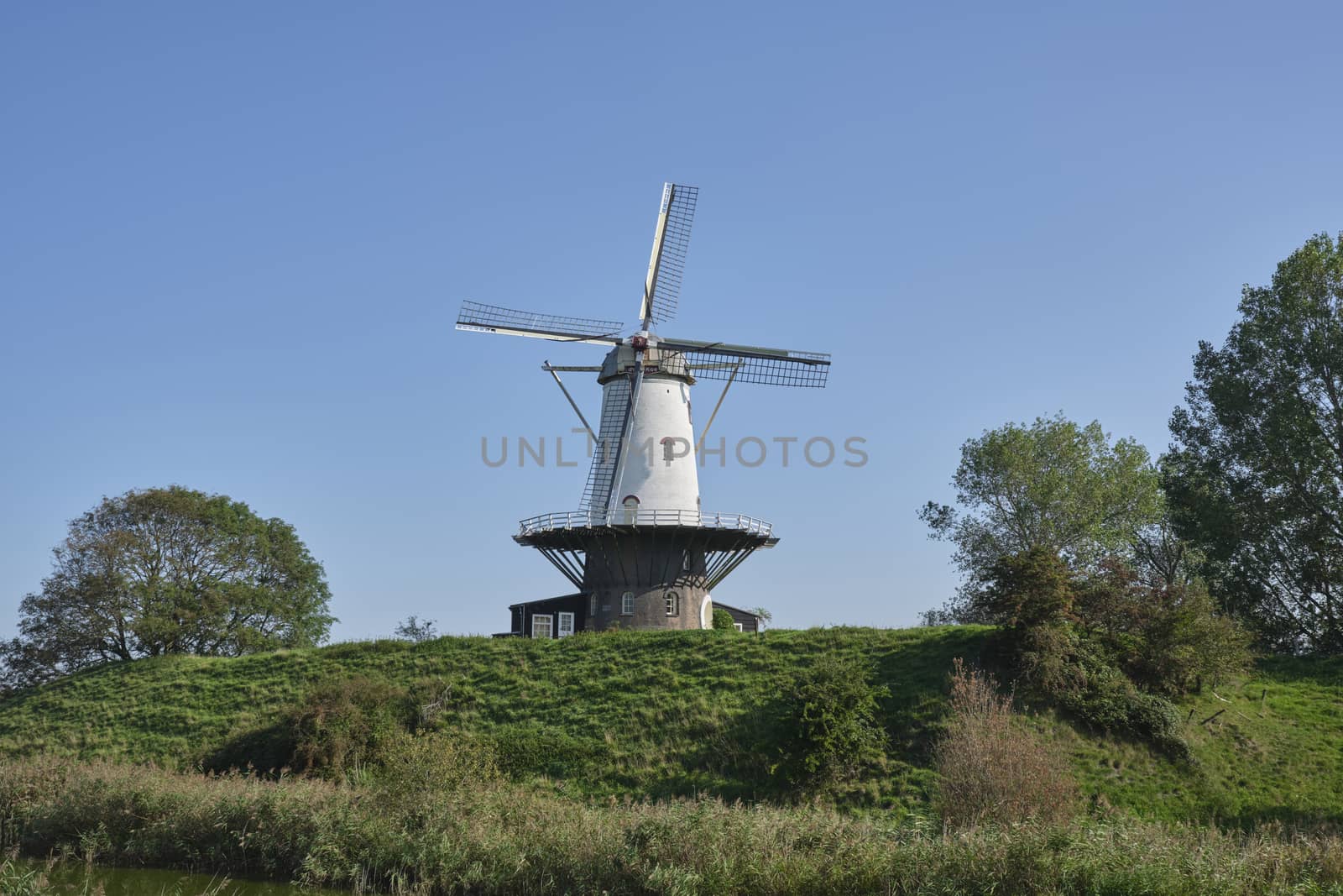 windmill 'de Koe', 'the Cow' in Veere, national monument by Tjeerdkruse