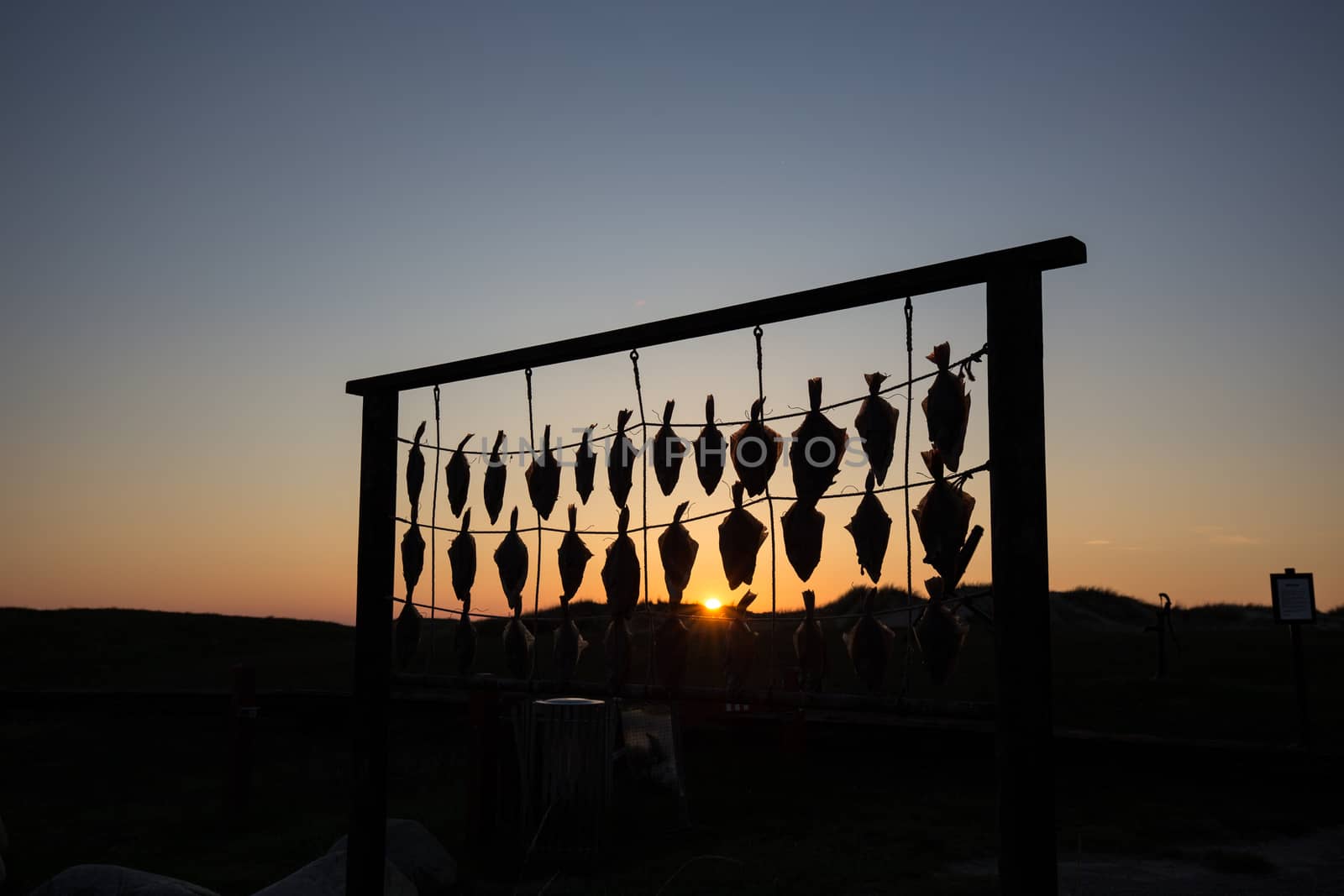 Silhouette of fish hanging to dry at the beach in Liseleje, Denmark.