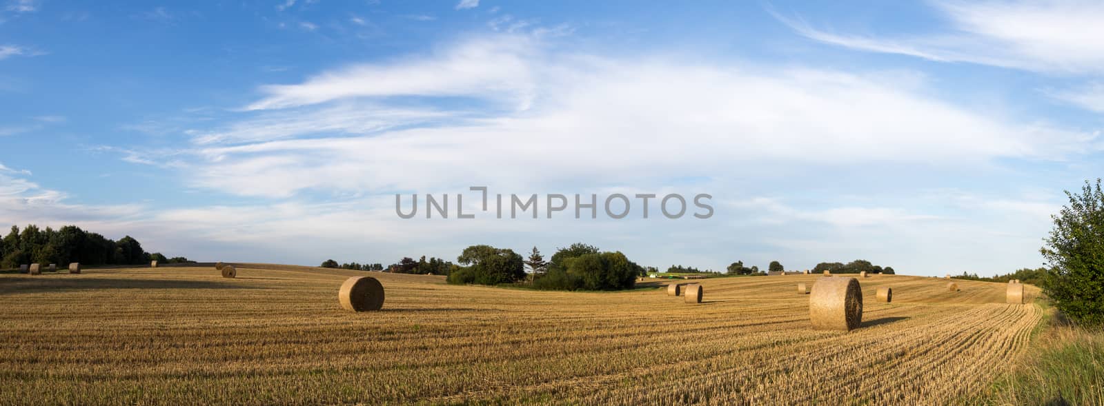 Panoramic view of hay bales on a field on the countryside in Denmark